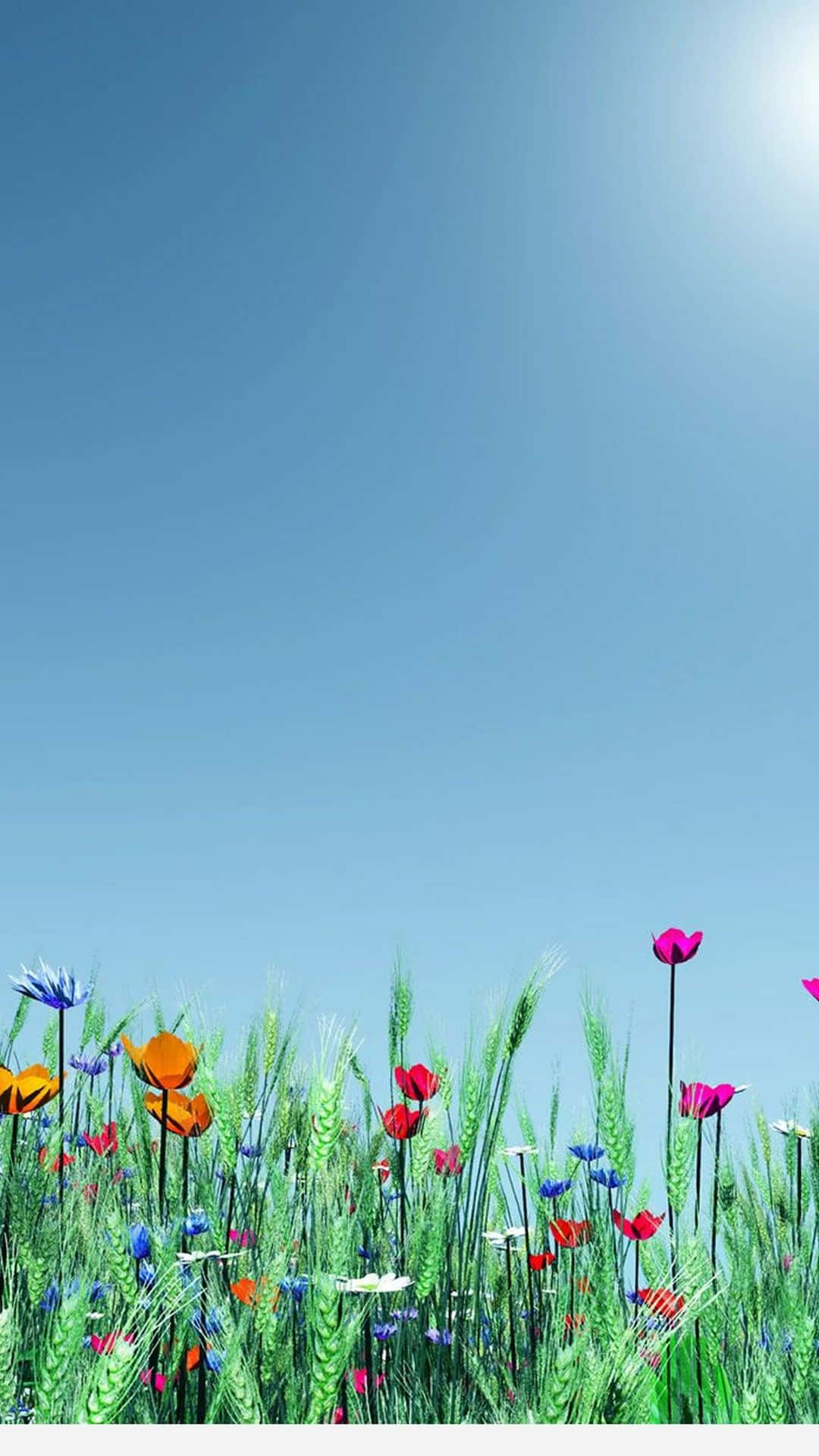 Spring Sky, vibrant wildflowers, lush green grass, Full HD Phone Wallpaper