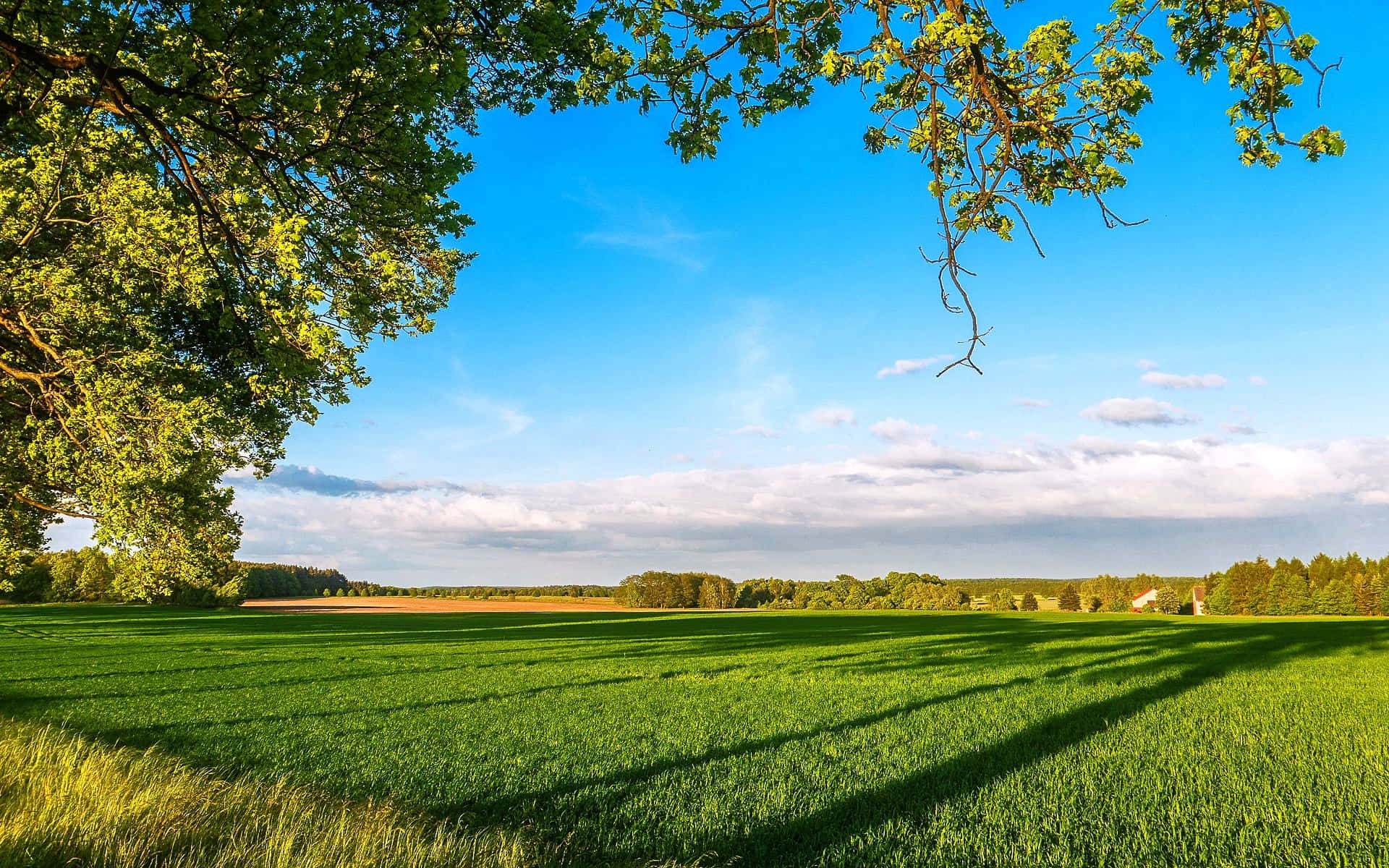 Spring Sky, vibrant green field, bright blue sky, Full HD Desktop Wallpaper