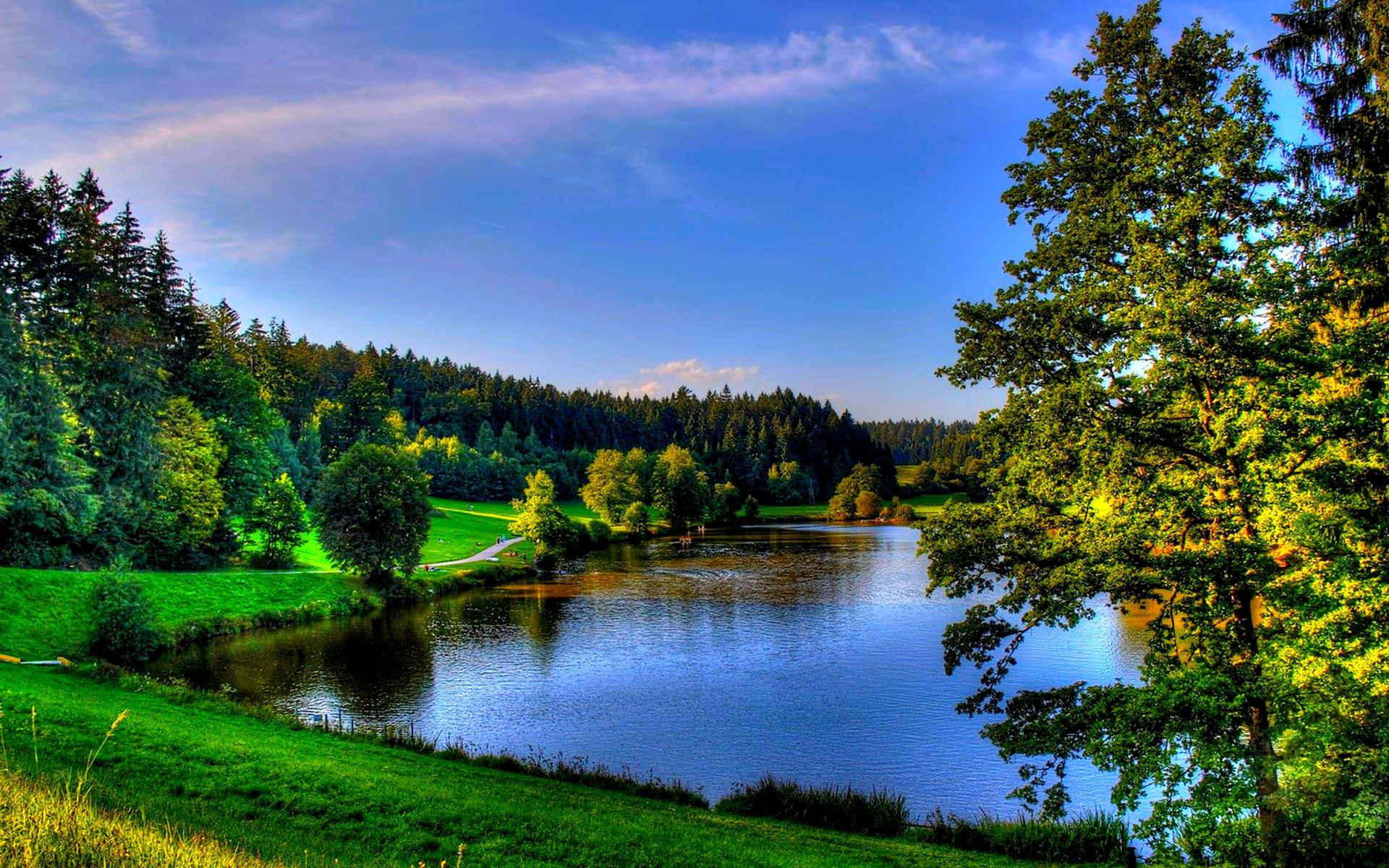Verdant Tranquility, Spring Sky, lush green forests, Full HD Desktop Wallpaper