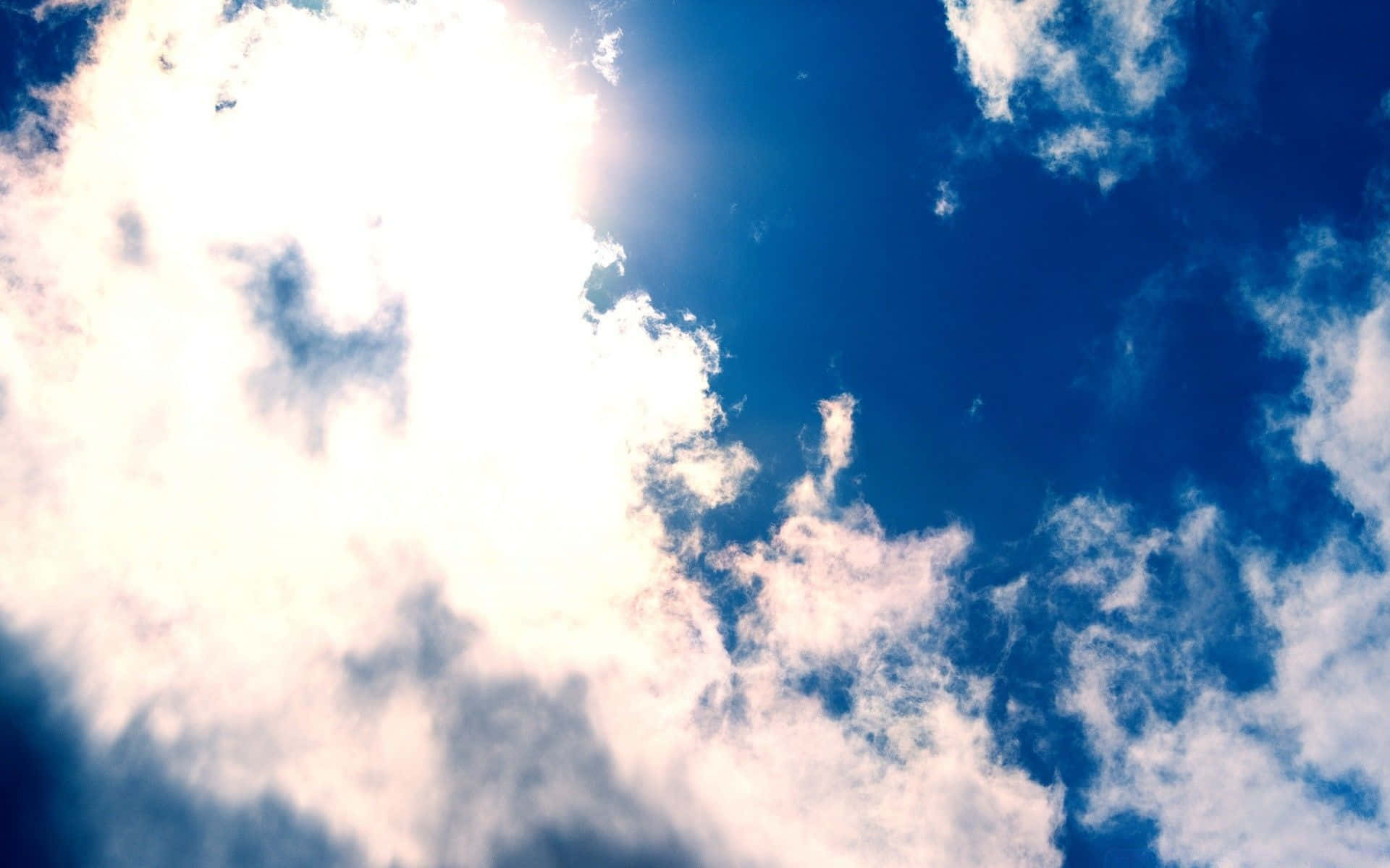 Spring Sky, blossoms, rainbow, Full HD Desktop Wallpaper