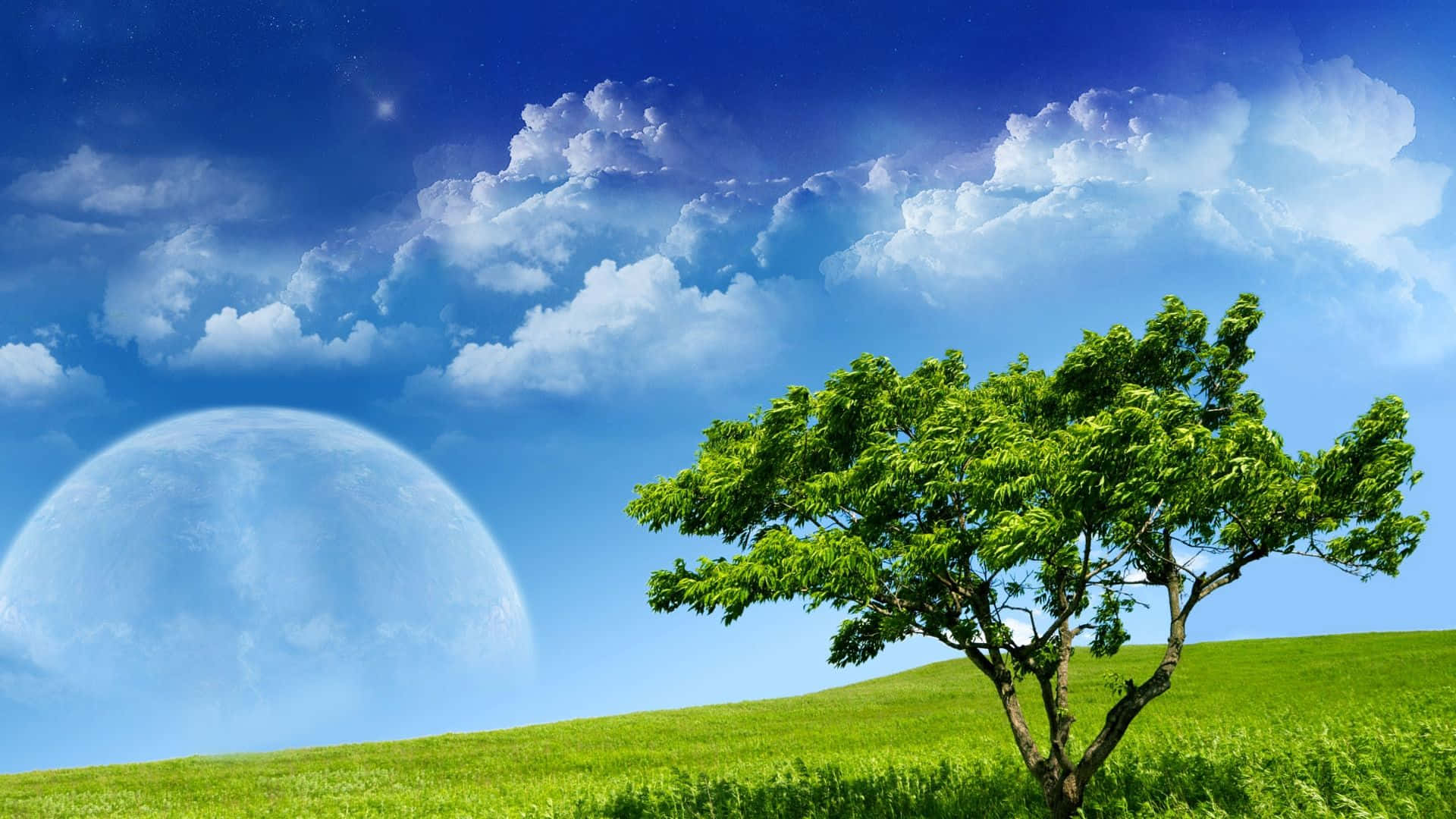 Spring Sky, green tree, grassy hill, Full HD Desktop Wallpaper