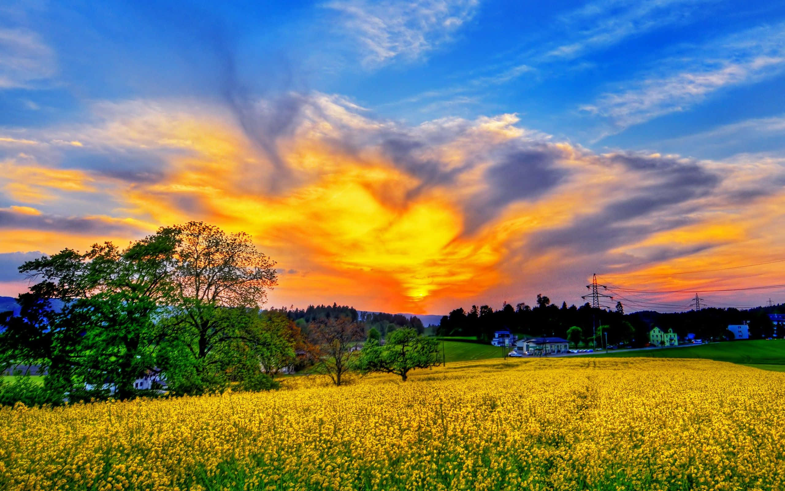 Spring Sky, sunset, fiery orange, 2K Desktop Wallpaper