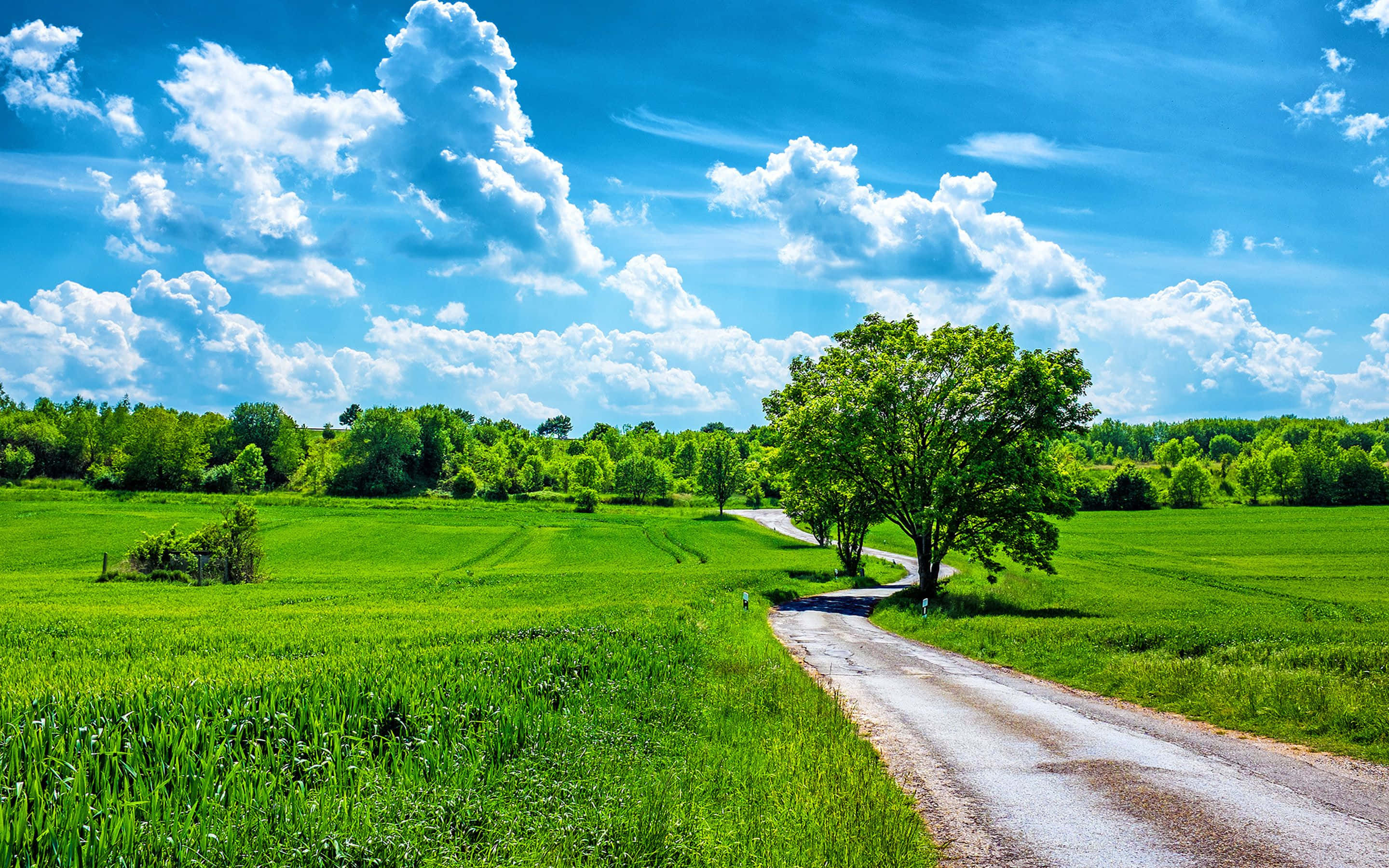 Spring Sky, gravel road, vibrant green fields, 2K Desktop Wallpaper