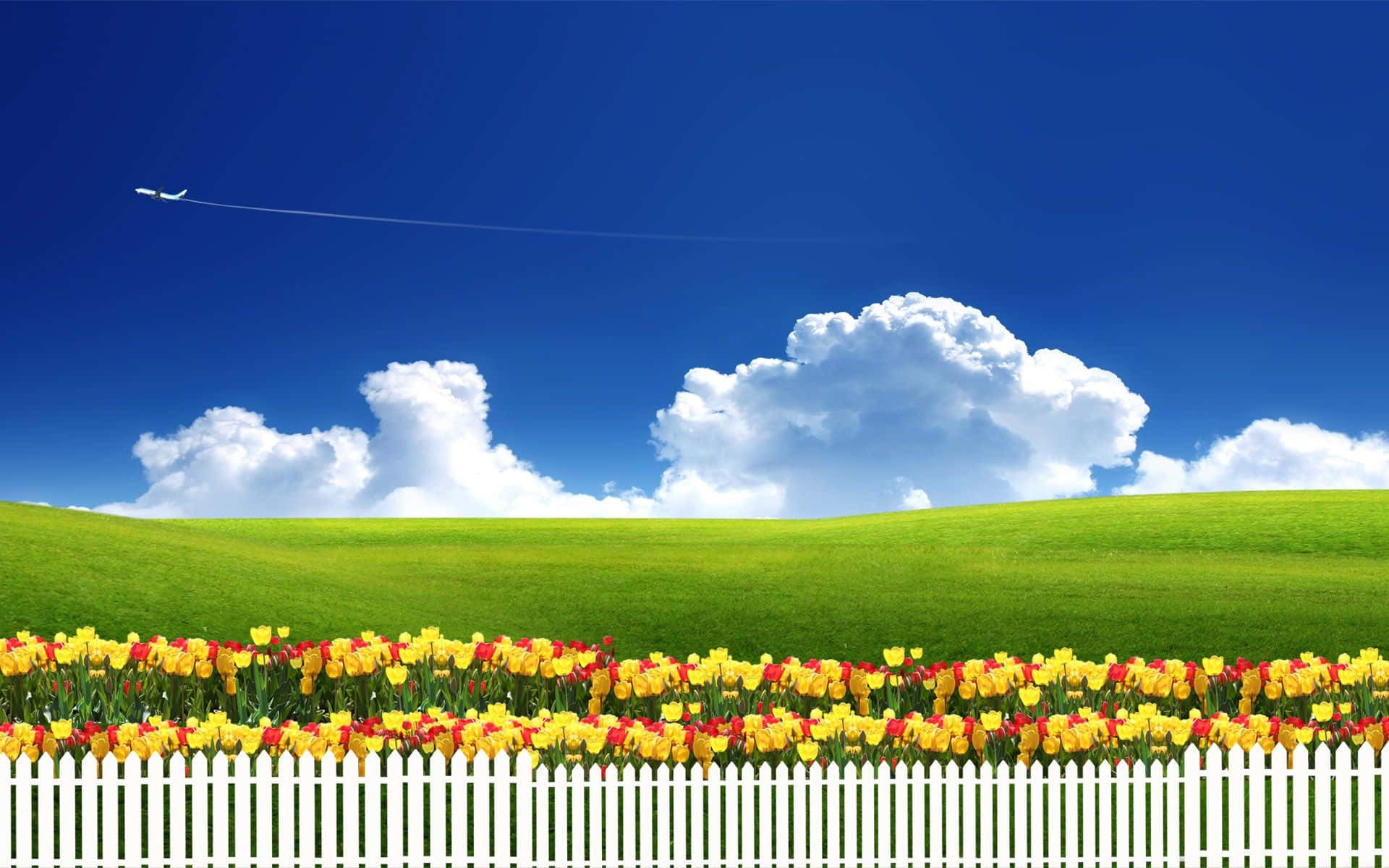 Spring Sky, yellow and red tulips, white picket fence, Full HD Desktop Wallpaper