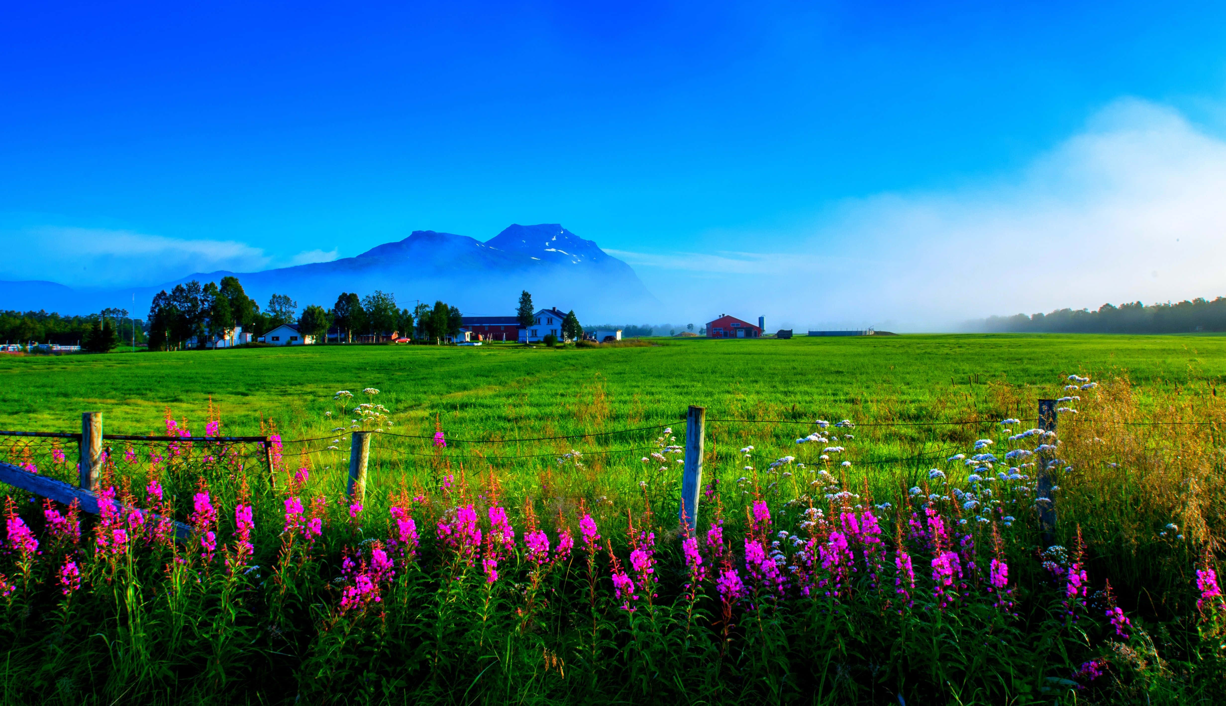 spring fields, 4928 x 2840, lush green field, 4K Desktop Wallpaper
