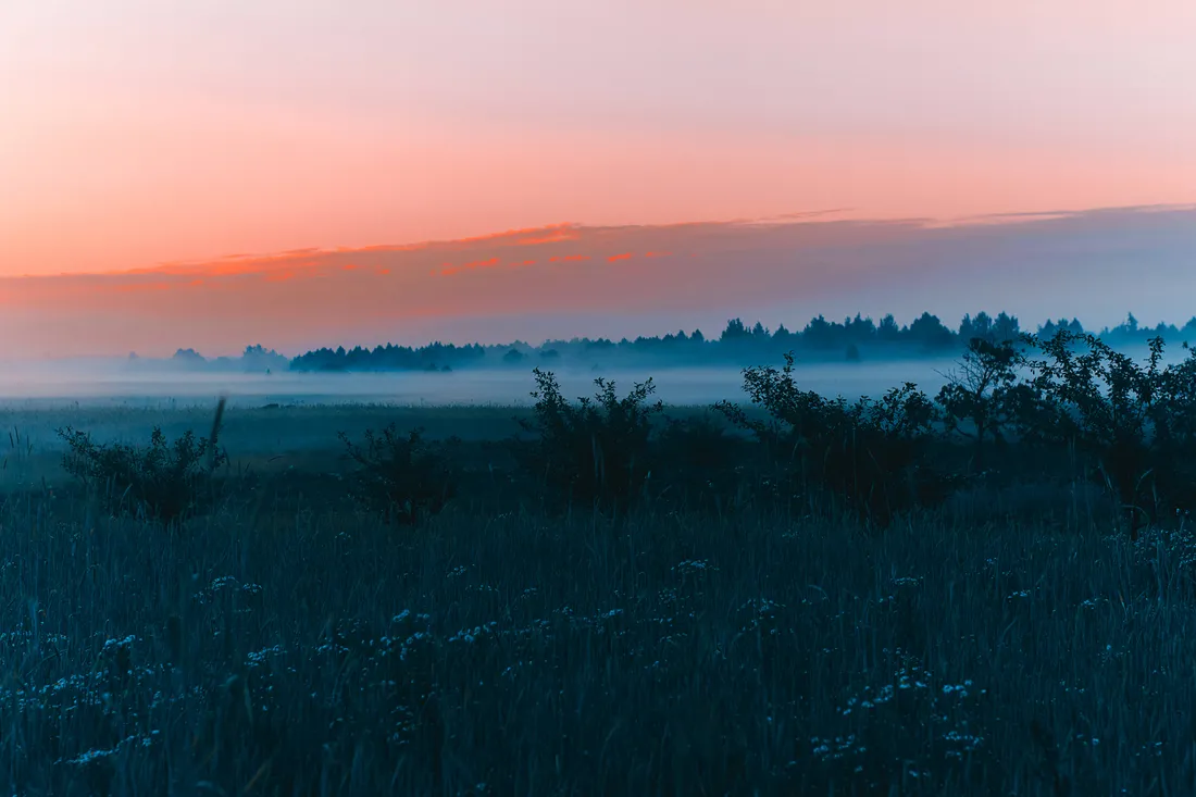 Spring Sunrise