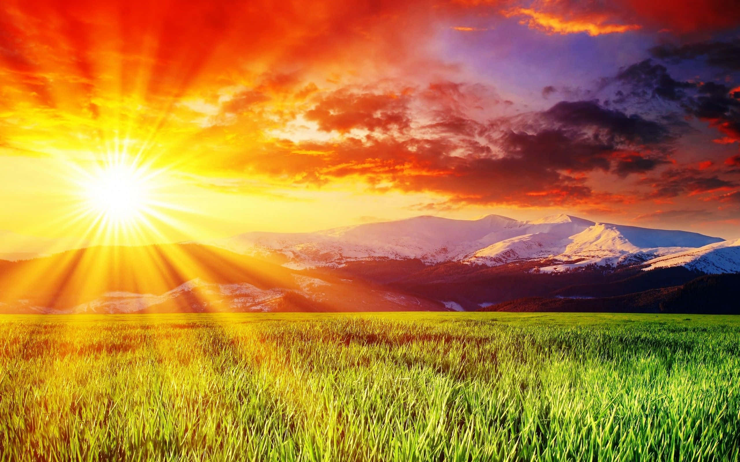 Spring Sunrise, fiery orange sky, lush green field, 2K Desktop Wallpaper