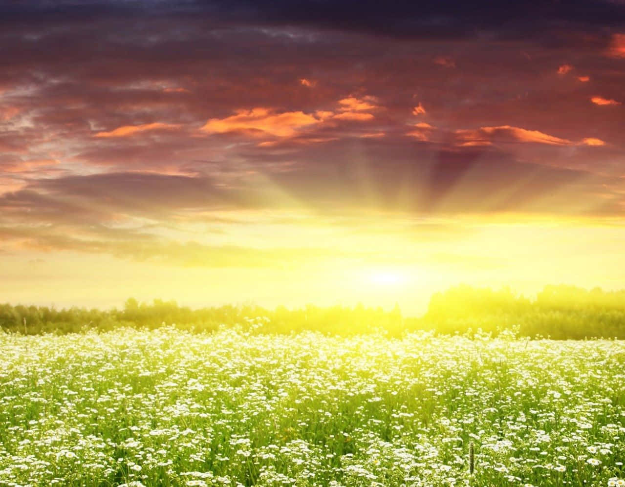 Spring Sunrise, sunburst rays, fiery clouds, SD Desktop Wallpaper