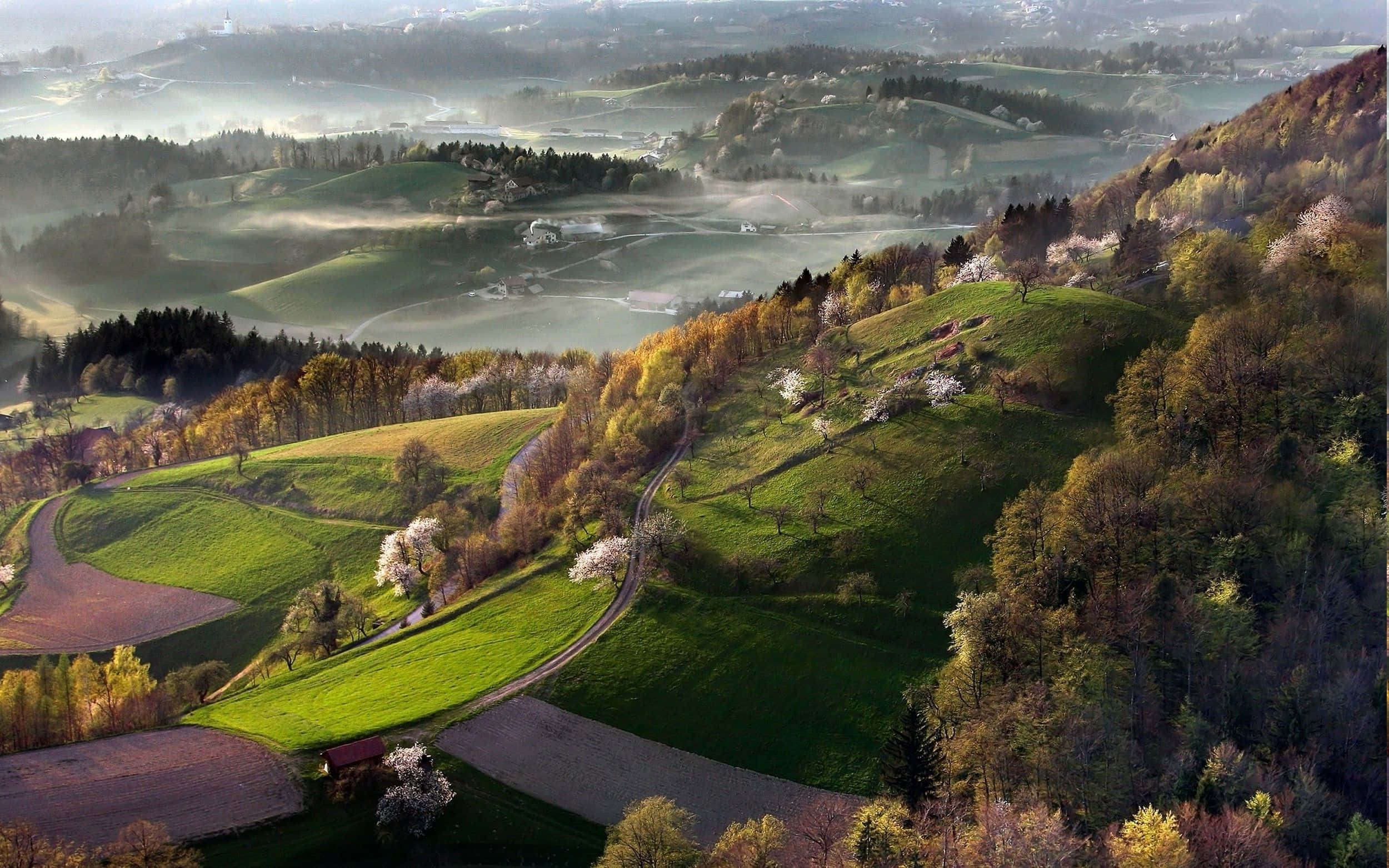 Spring Sunrise, rolling green hills, mist, Full HD Desktop Wallpaper