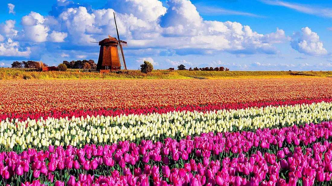 Spring Sunset
