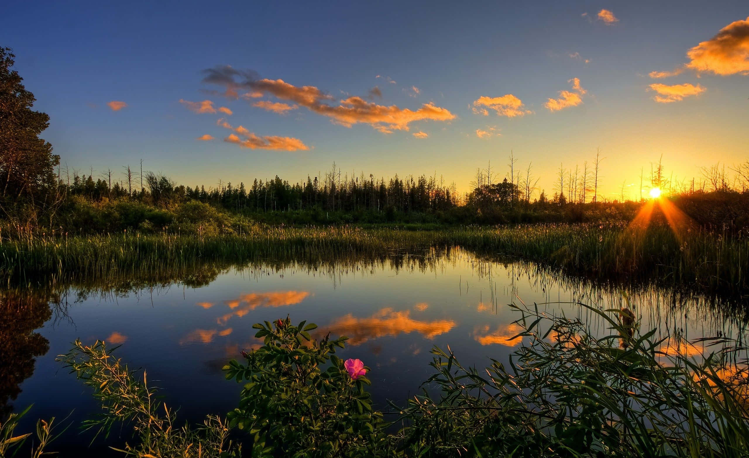 Spring Sunset, warm golds, calm marsh water, 2K Desktop Wallpaper