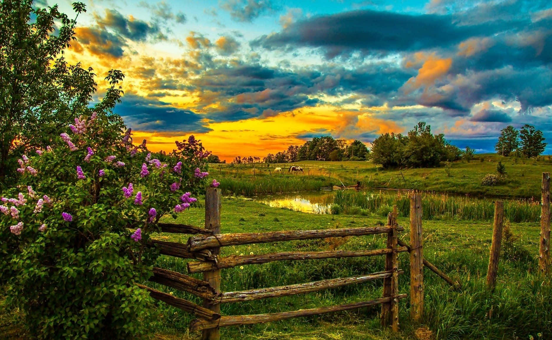 Spring Sunset, rustic wooden fence, vibrant sunset, HD Desktop Wallpaper