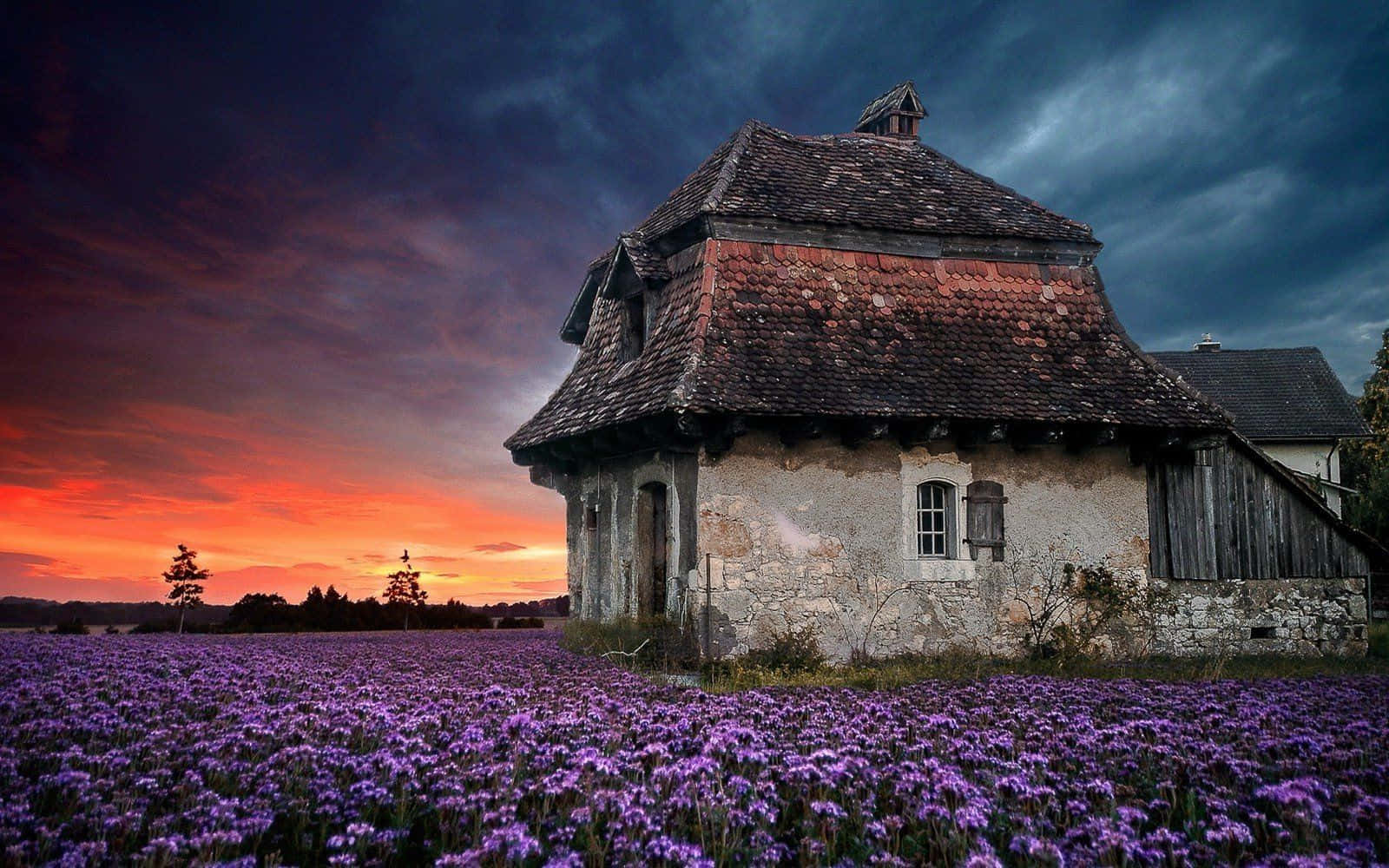 Spring Sunset, purple flowers, old stone cottage, HD Desktop Wallpaper