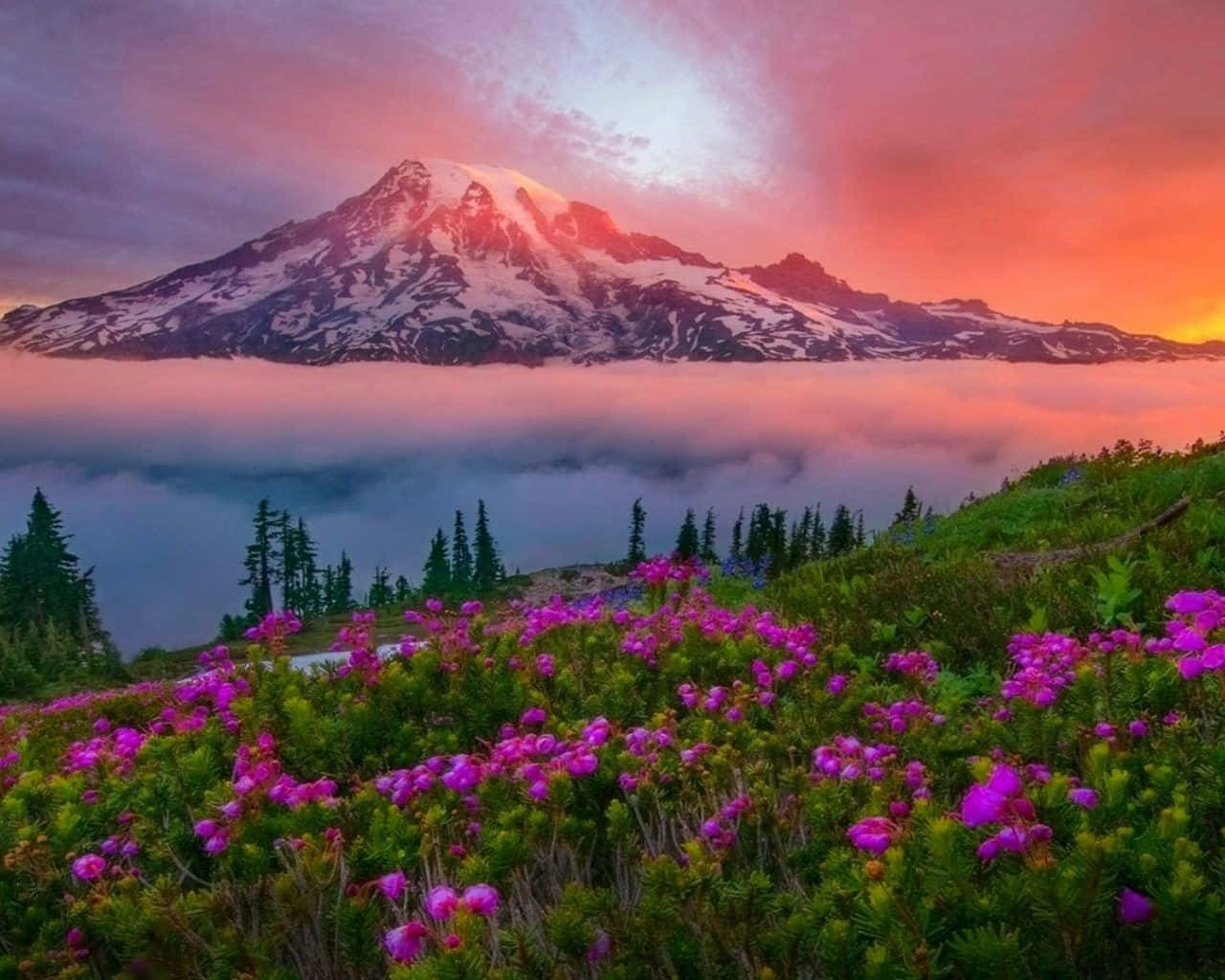 Spring Sunset, sunset, snow-capped mountain, HD Desktop Wallpaper