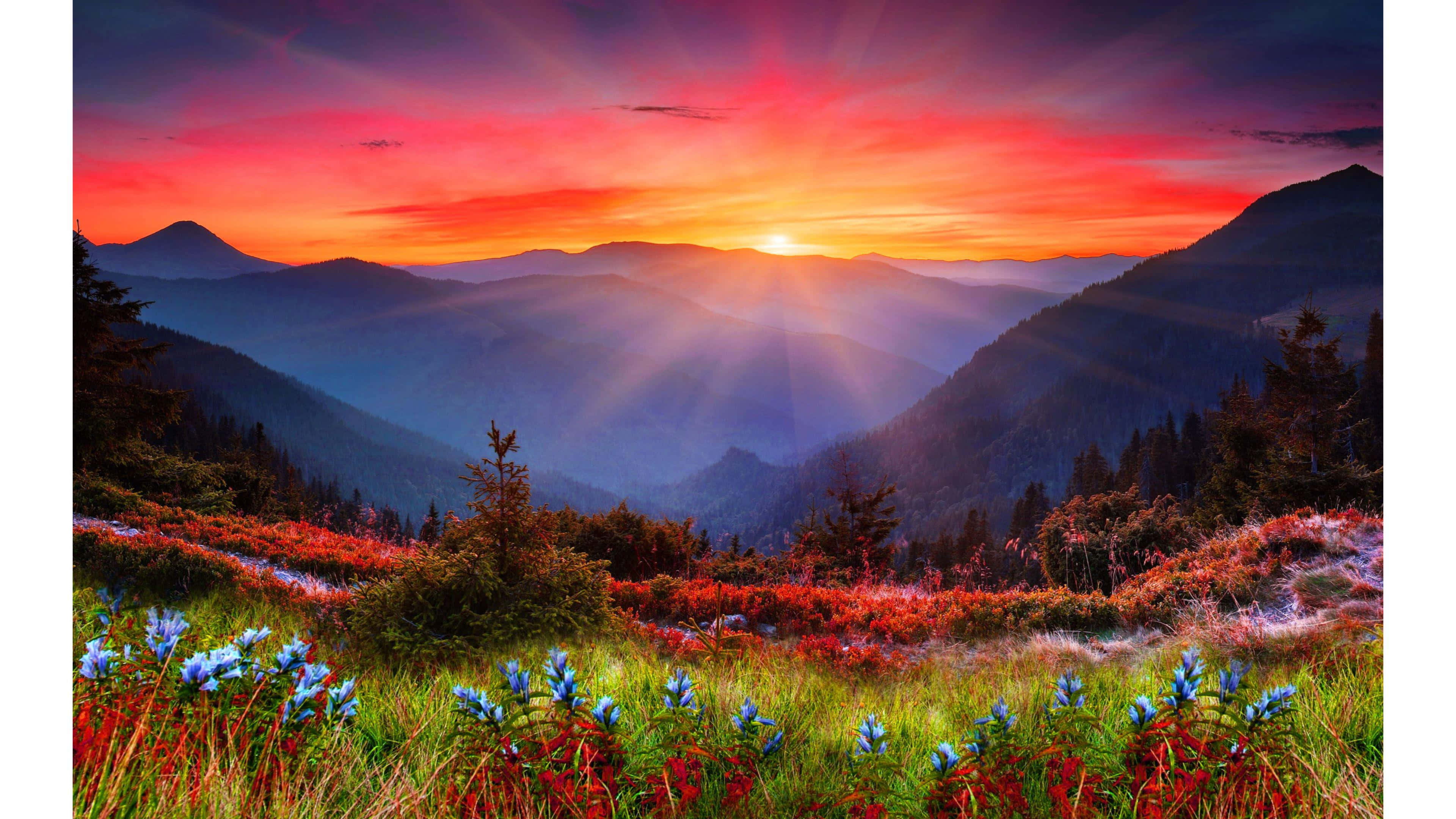 Spring Sunset, red and blue wildflowers, mountain peaks, 4K Desktop Wallpaper