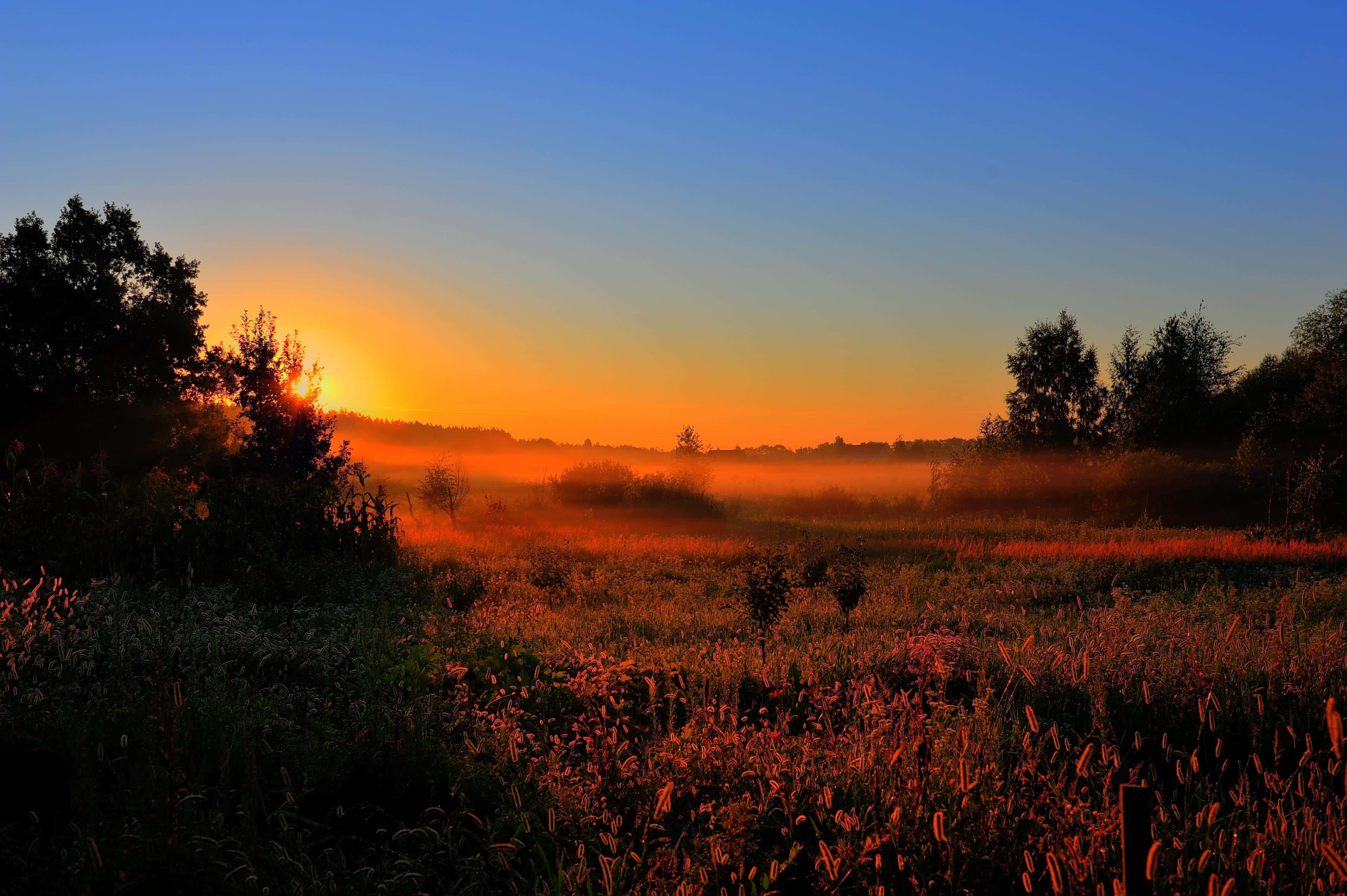 Spring Sunset, fiery orange, misty field, 4K Desktop Wallpaper