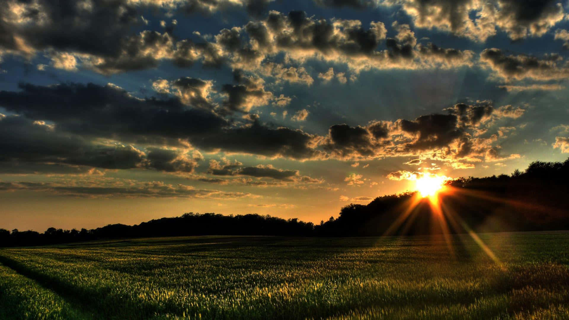Spring Sunset, Sunset, green field, Full HD Desktop Wallpaper