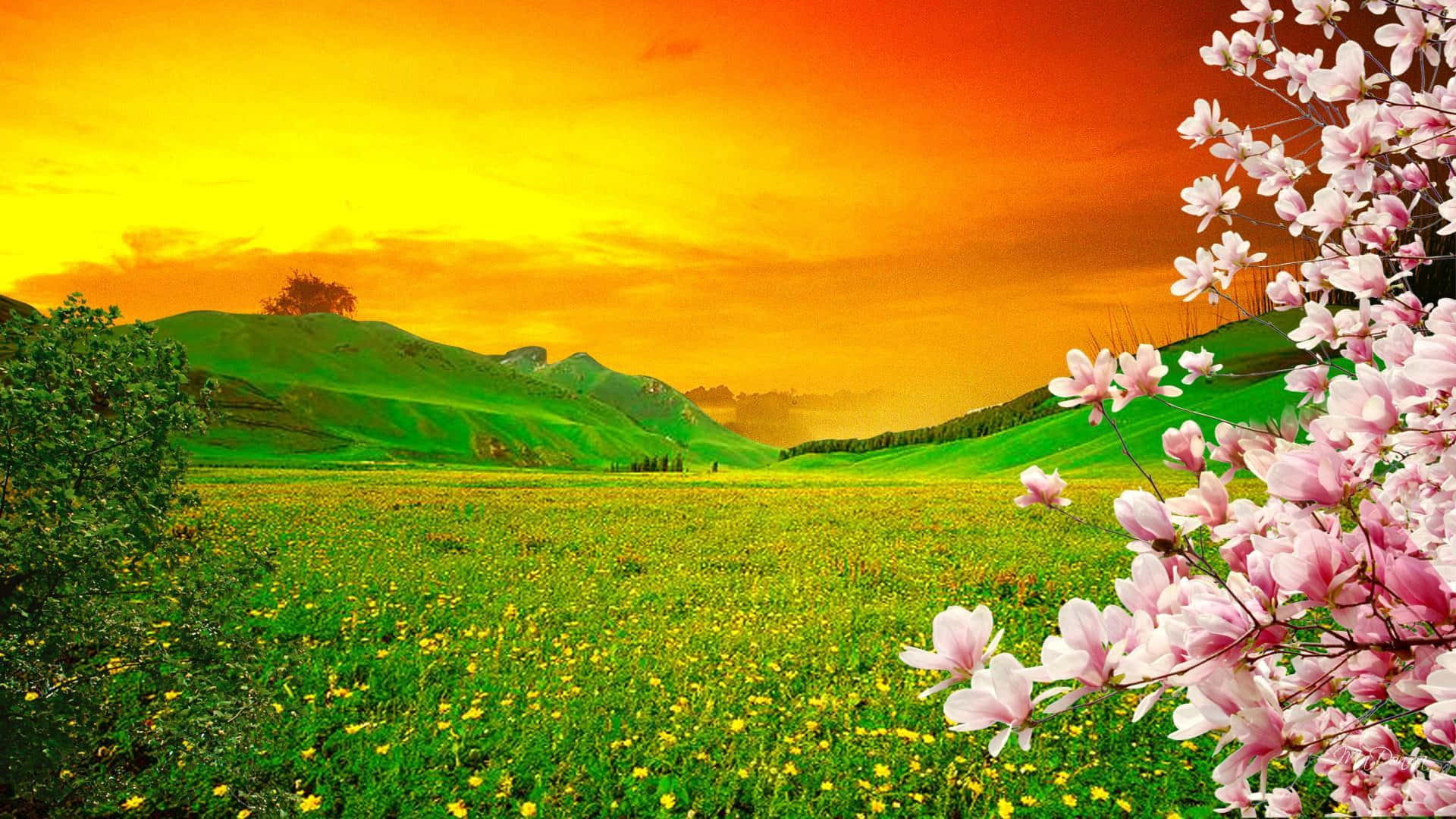 Spring Sunset, vibrant sunset, rolling green hills, Full HD Desktop Wallpaper