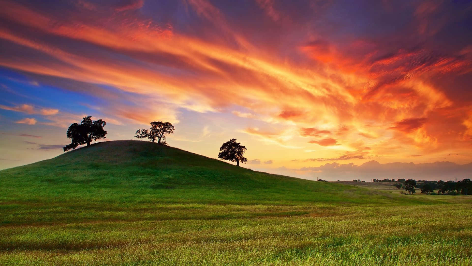 Spring Sunset, fiery orange, deep purple, Full HD Desktop Wallpaper