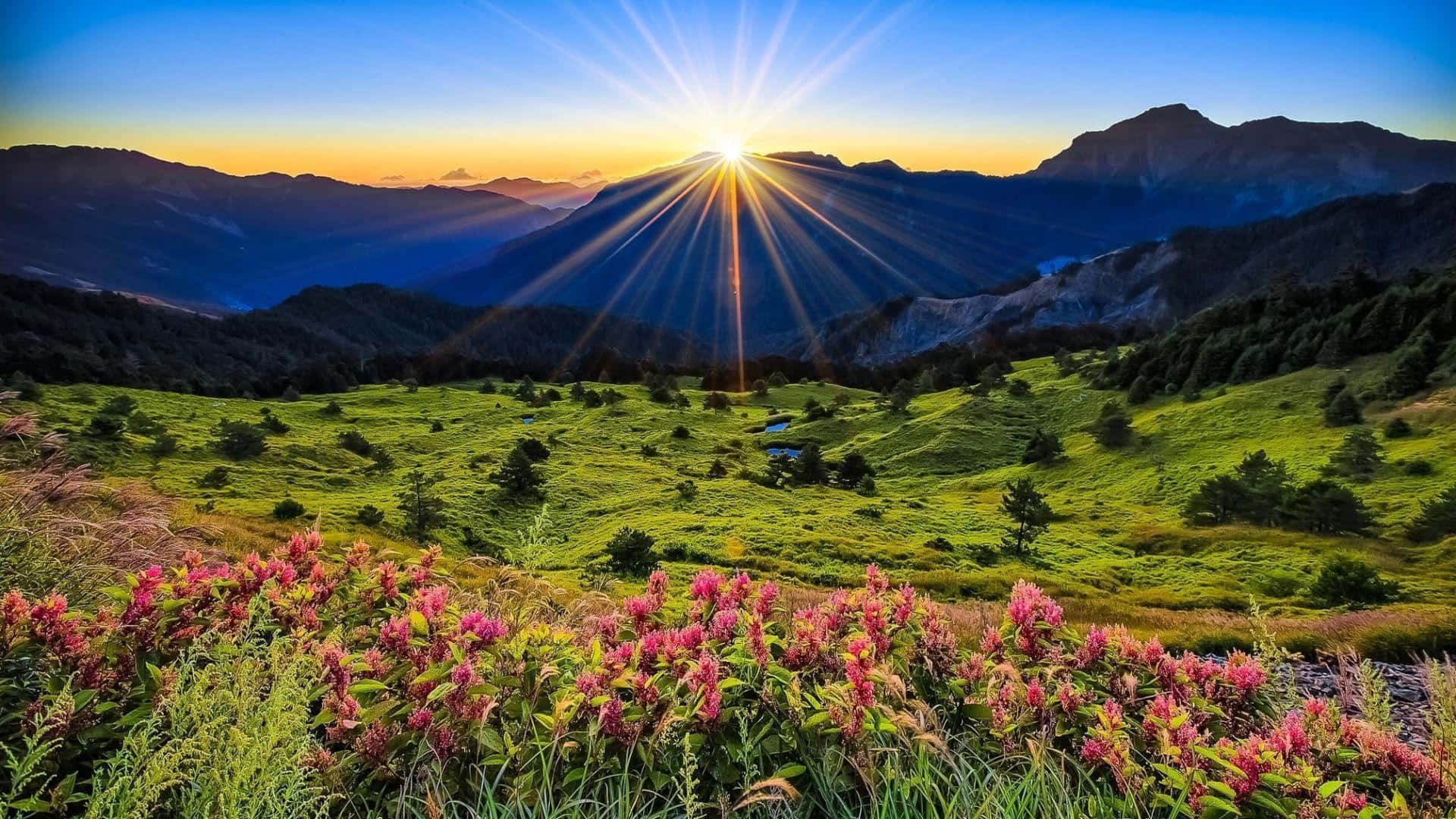 Spring Sunrise, 1920 x 1080, sunburst, Full HD Desktop Wallpaper