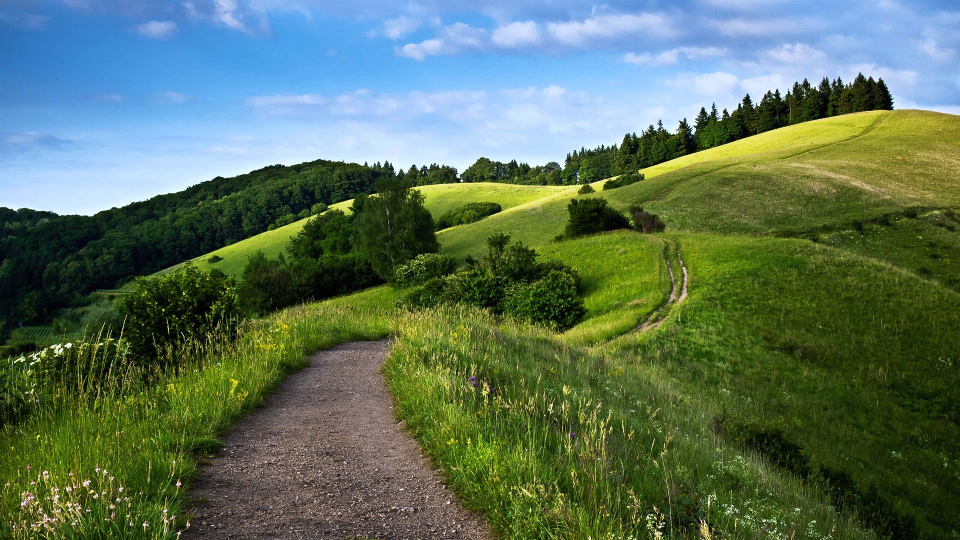 Spring Sky, 3840 x 2160, winding gravel path, 4K Desktop Wallpaper
