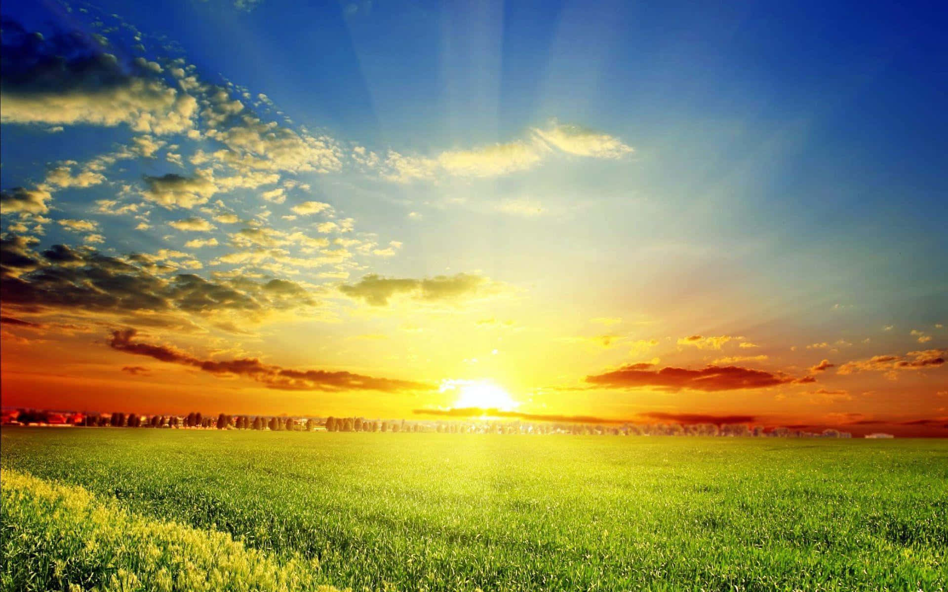 Spring Sunshine, sunset, vast green field, Full HD Desktop Wallpaper