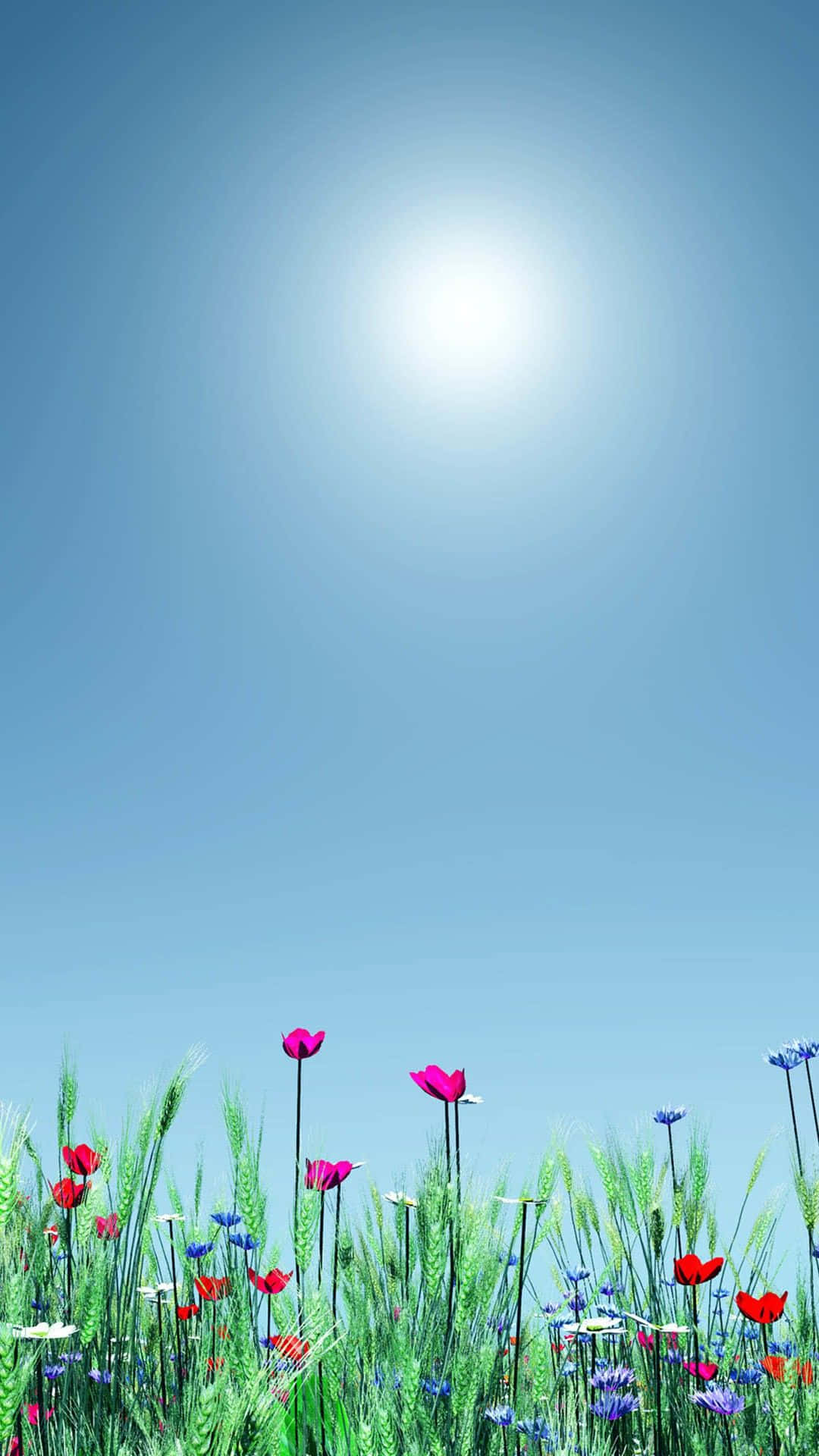 Spring Sunshine, 1080 x 1920, wildflowers, Full HD Phone Wallpaper