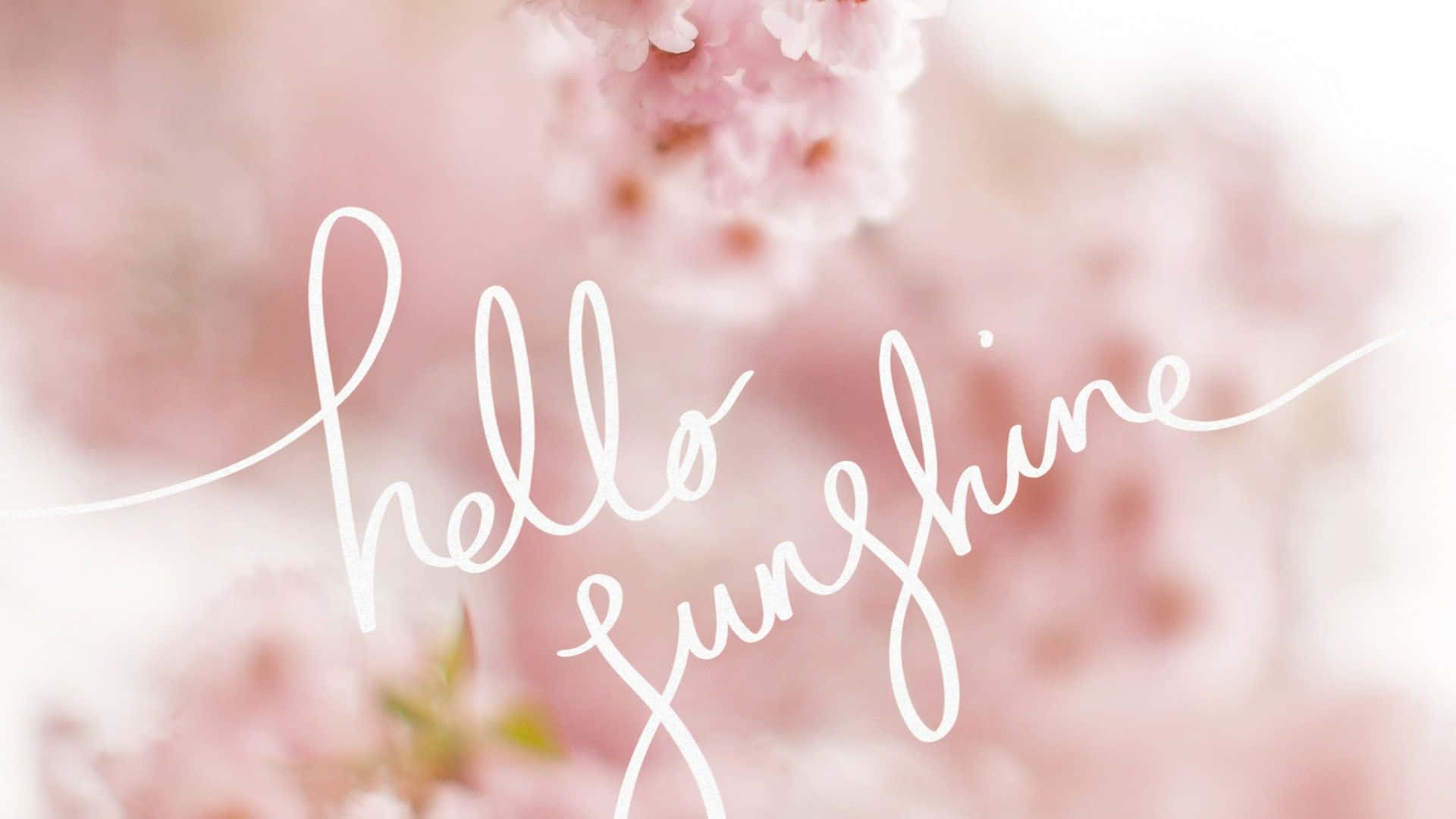 Spring Sunshine, cherry blossoms, white cursive text, Full HD Desktop Wallpaper
