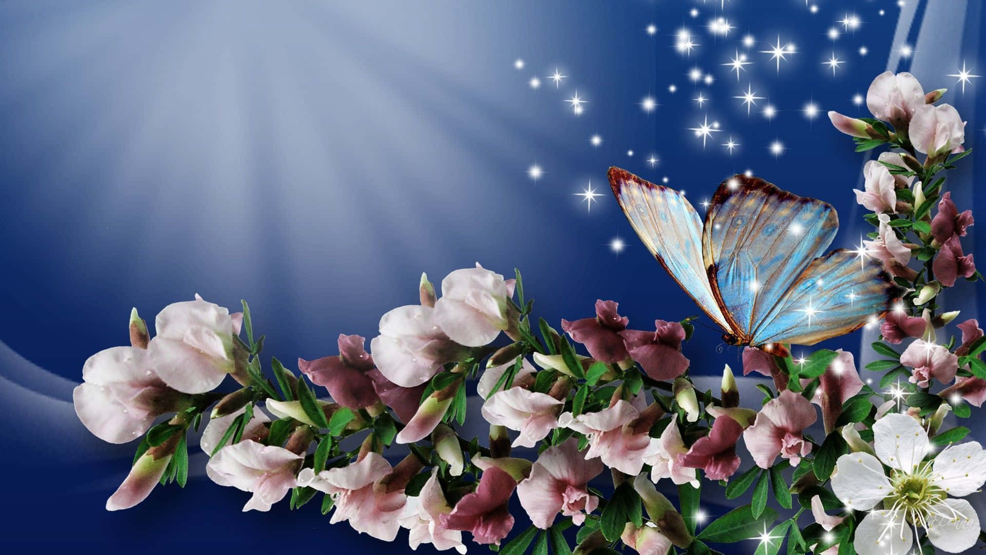 spring sunshine, glowing blue butterfly, pink and white blossoms, Full HD Desktop Wallpaper