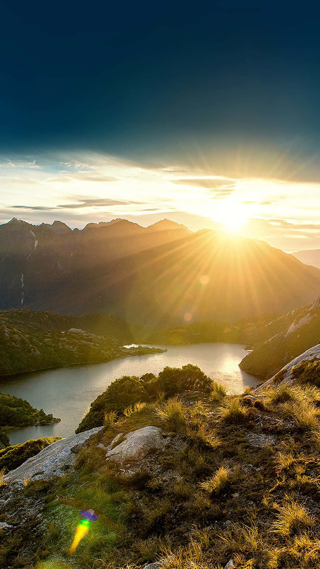 Spring Sunshine, sunburst, golden light, Full HD Phone Wallpaper