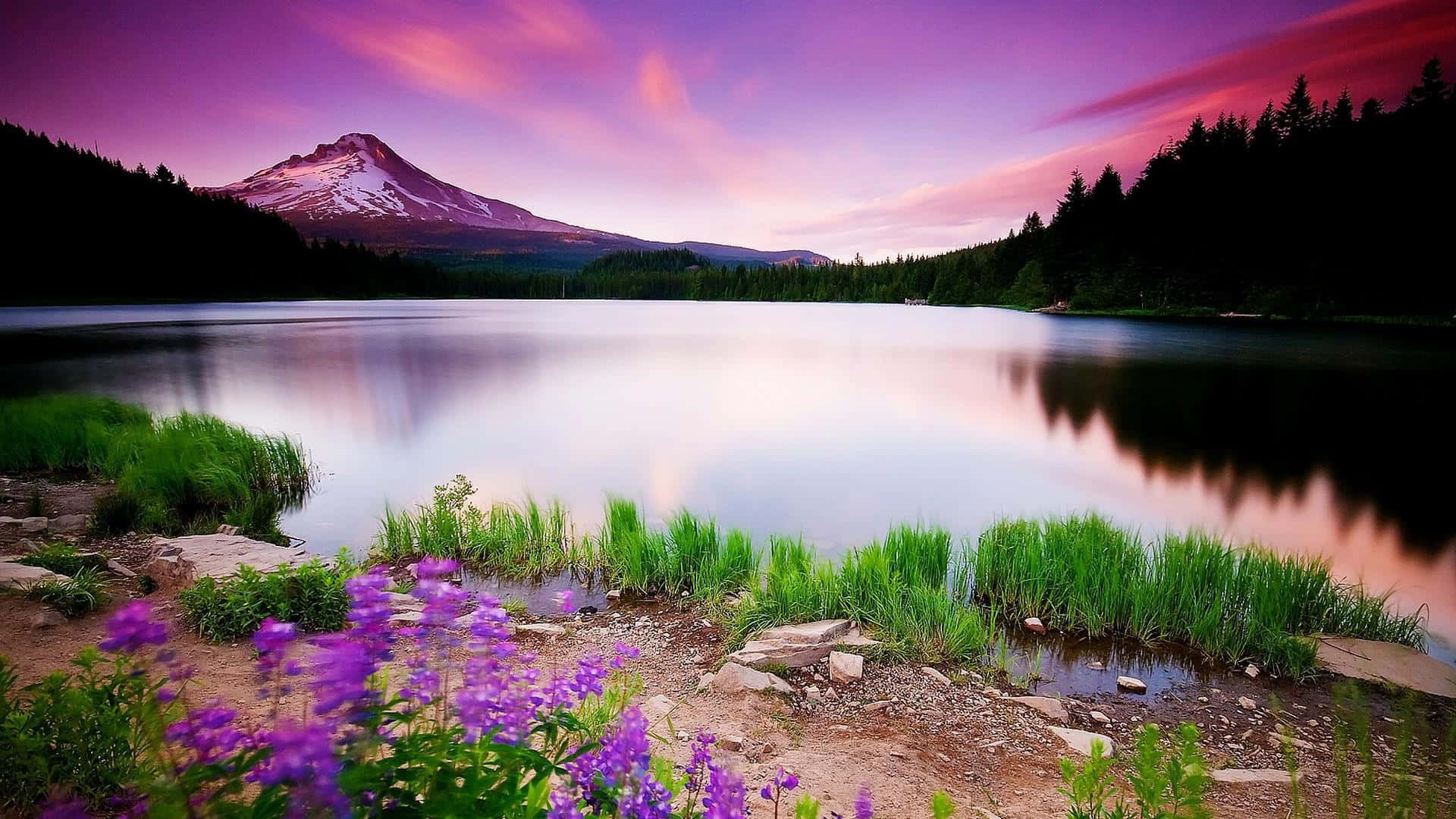 snow-capped mountain, serene lake, vibrant purple and pink sunset sky, Full HD Desktop Wallpaper