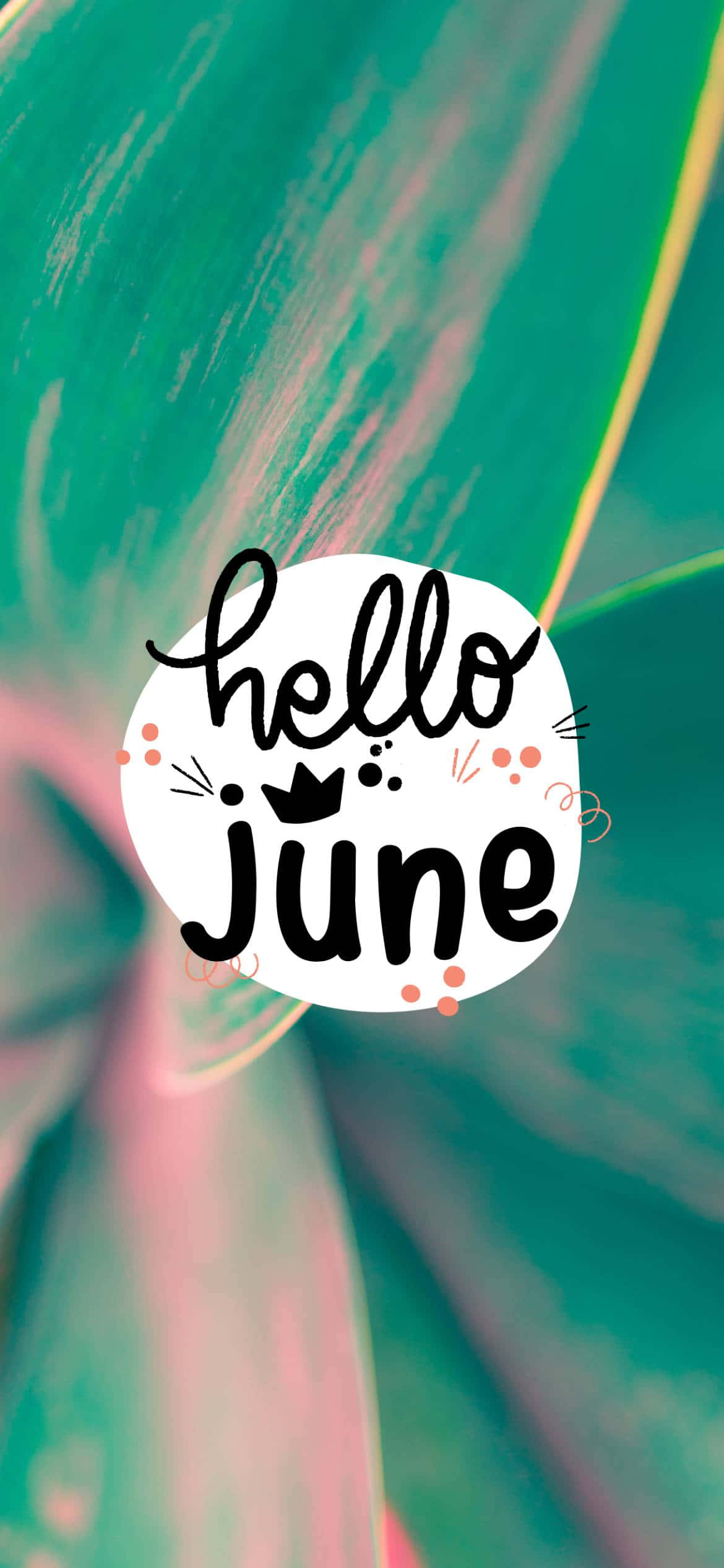 hello june, teal, pink, Full HD Phone Wallpaper