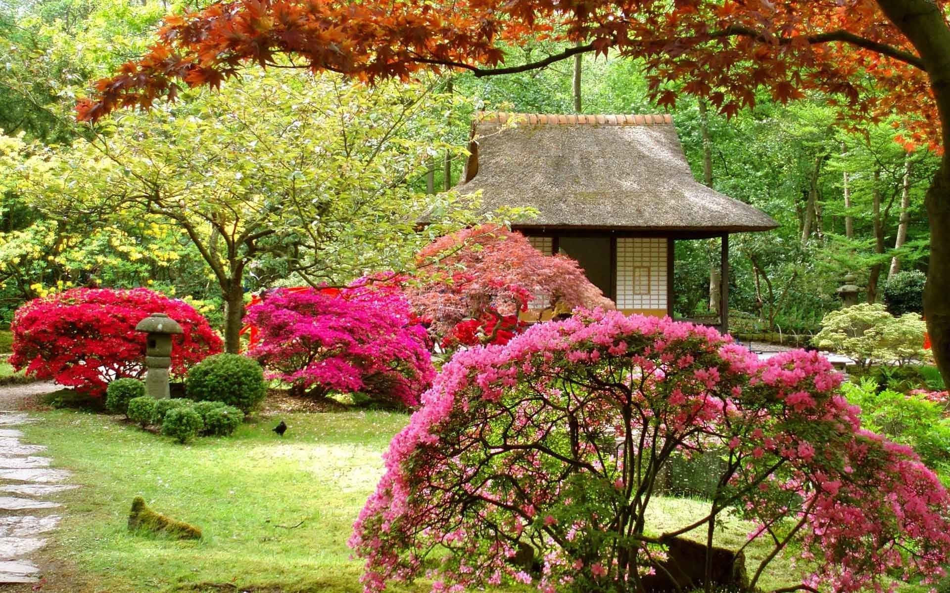 pink azaleas, fiery red maple leaves, thatched-roof Japanese pavilion, Full HD Desktop Wallpaper