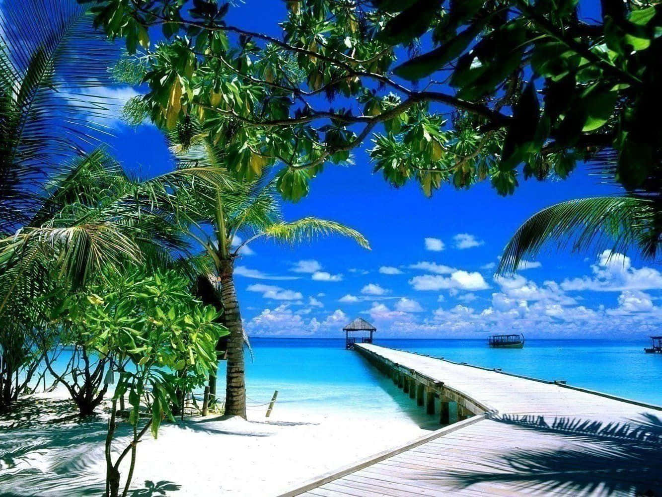 Spring Vacation, turquoise waters, vibrant blue sky, HD Desktop Wallpaper