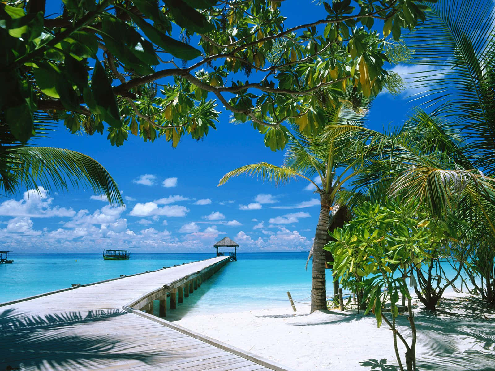 Spring Vacation, turquoise waters, bright blue sky, HD Desktop Wallpaper