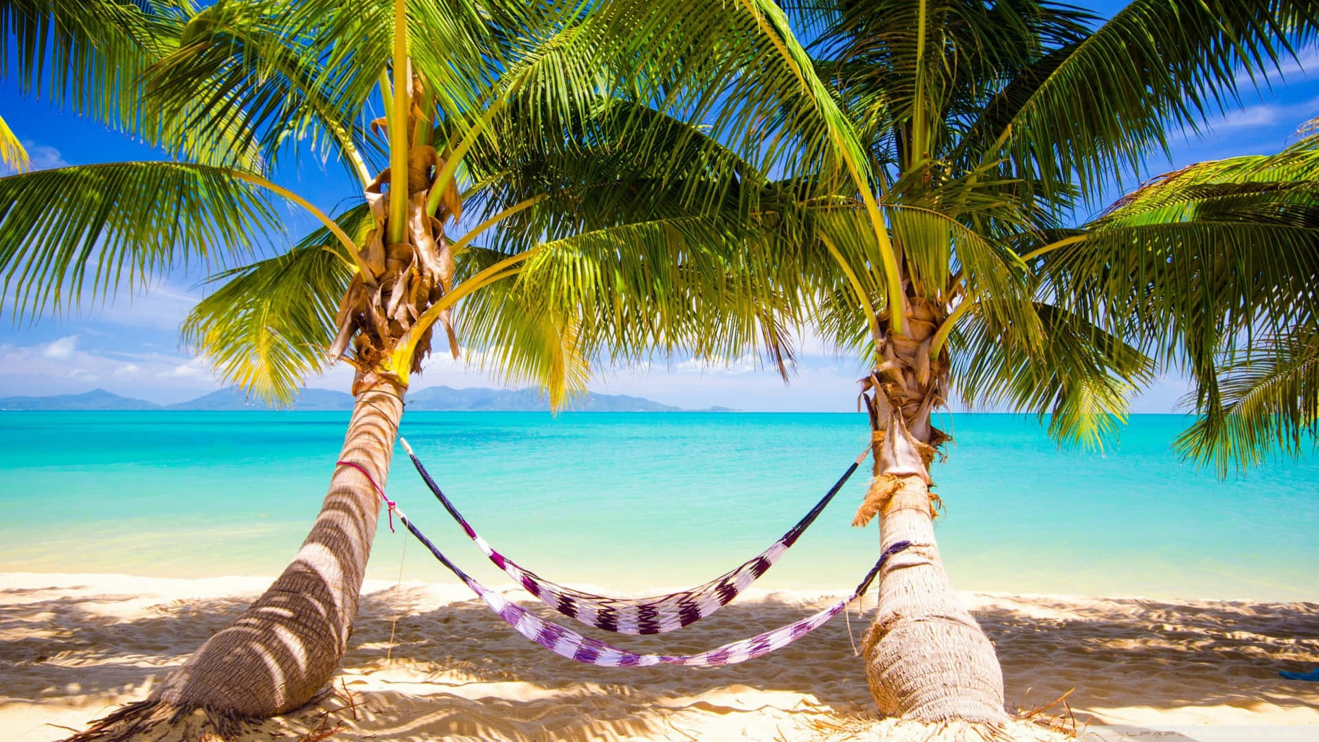 Spring Vacation, purple and white striped hammock, palm trees, Full HD Desktop Wallpaper