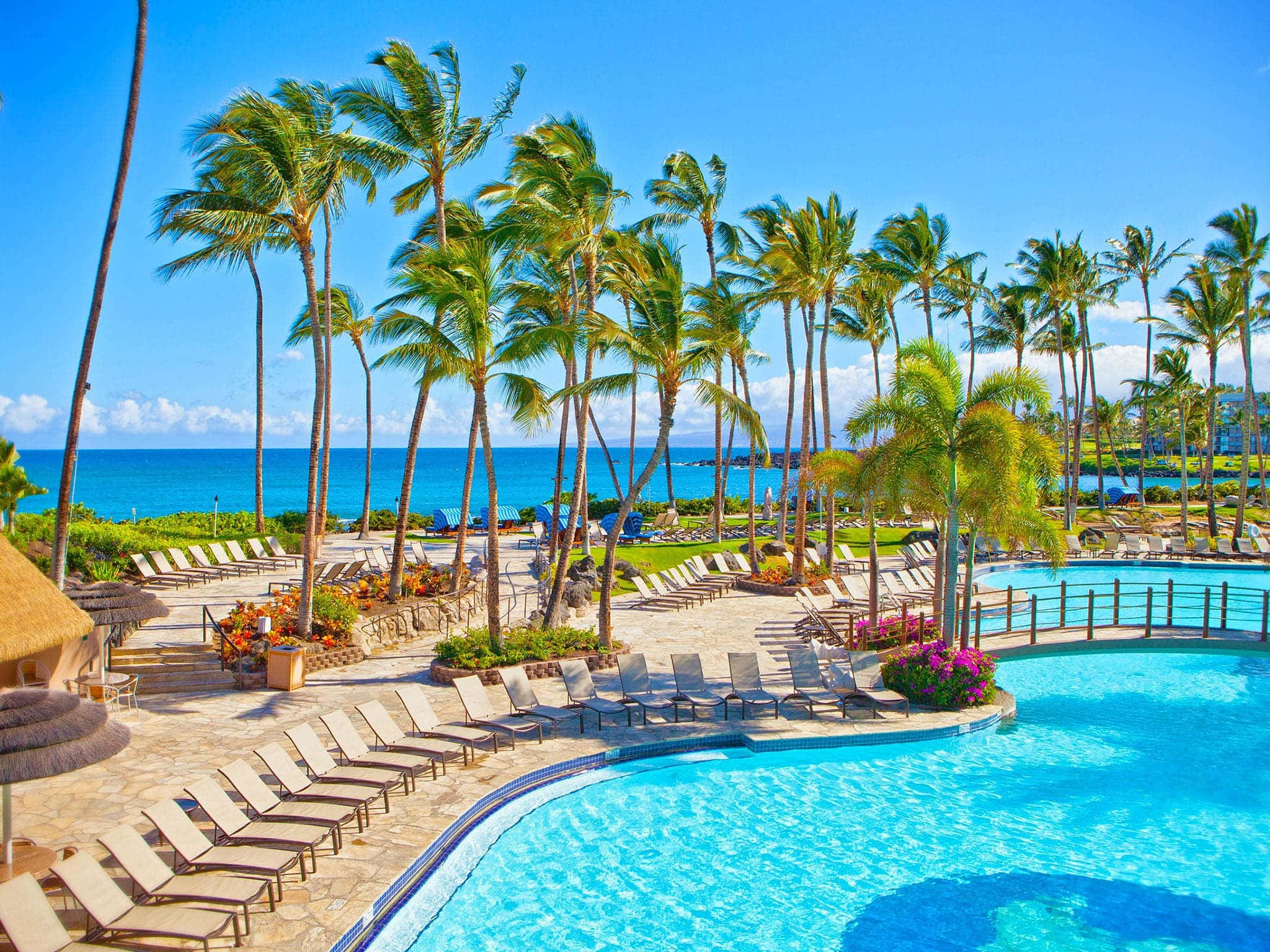 Spring Vacation, tropical resort pool area, turquoise water, Full HD Desktop Wallpaper