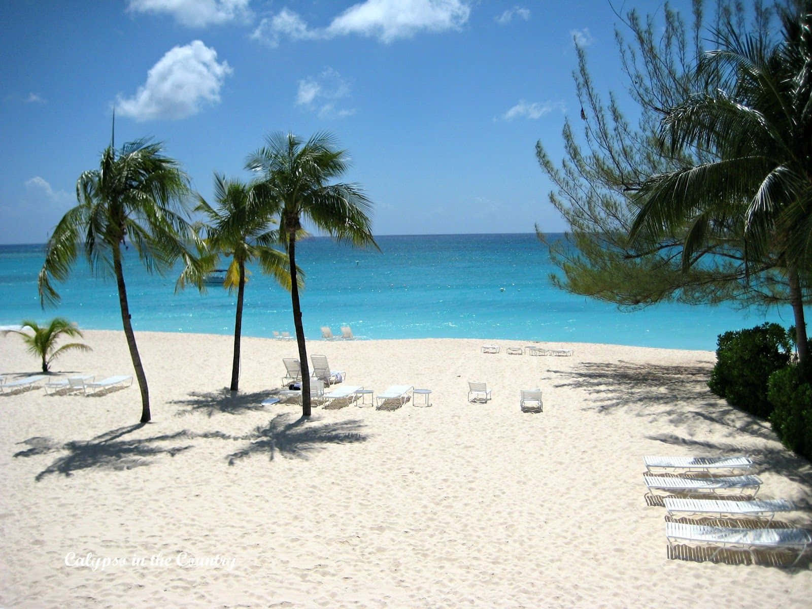 Spring Vacation, white sandy beach, palm trees, HD Desktop Wallpaper