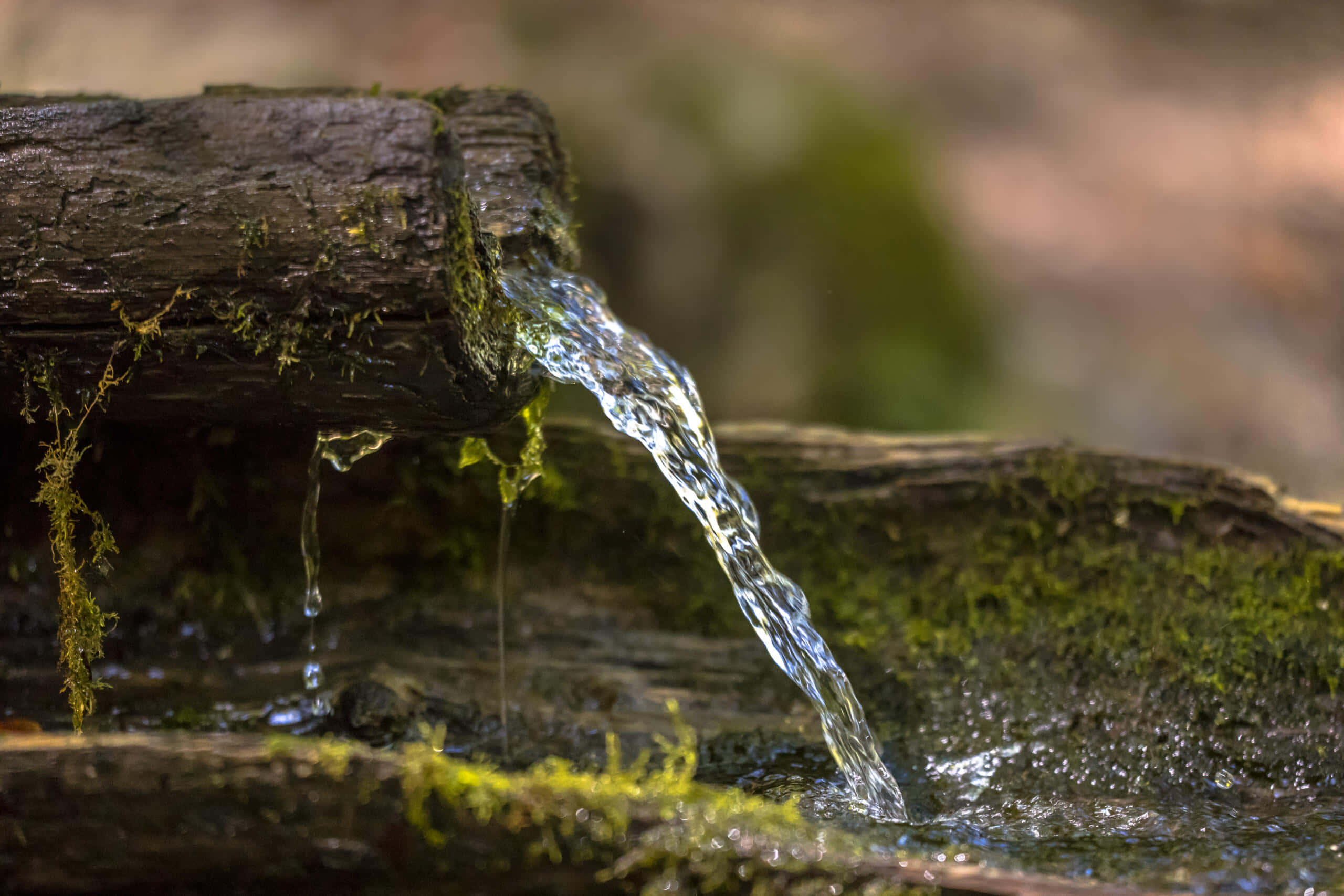 Spring Water, mossy log, shallow pool, 2K Desktop Wallpaper