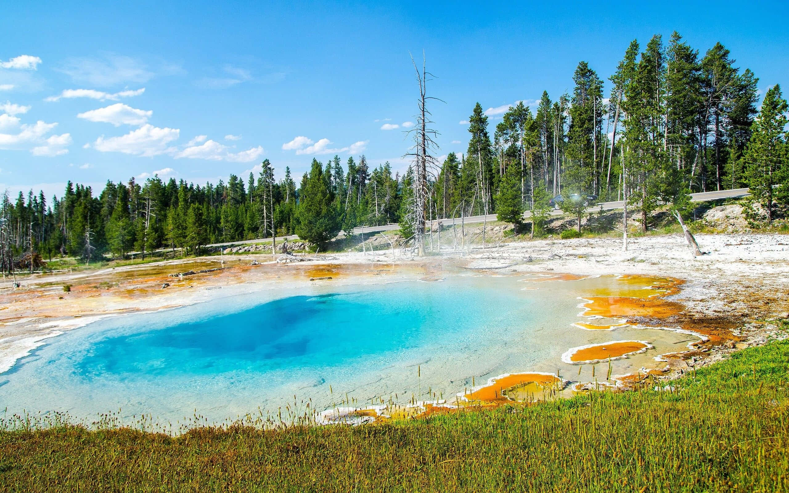 Spring Water, turquoise hot spring, orange mineral deposits, 2K Desktop Wallpaper
