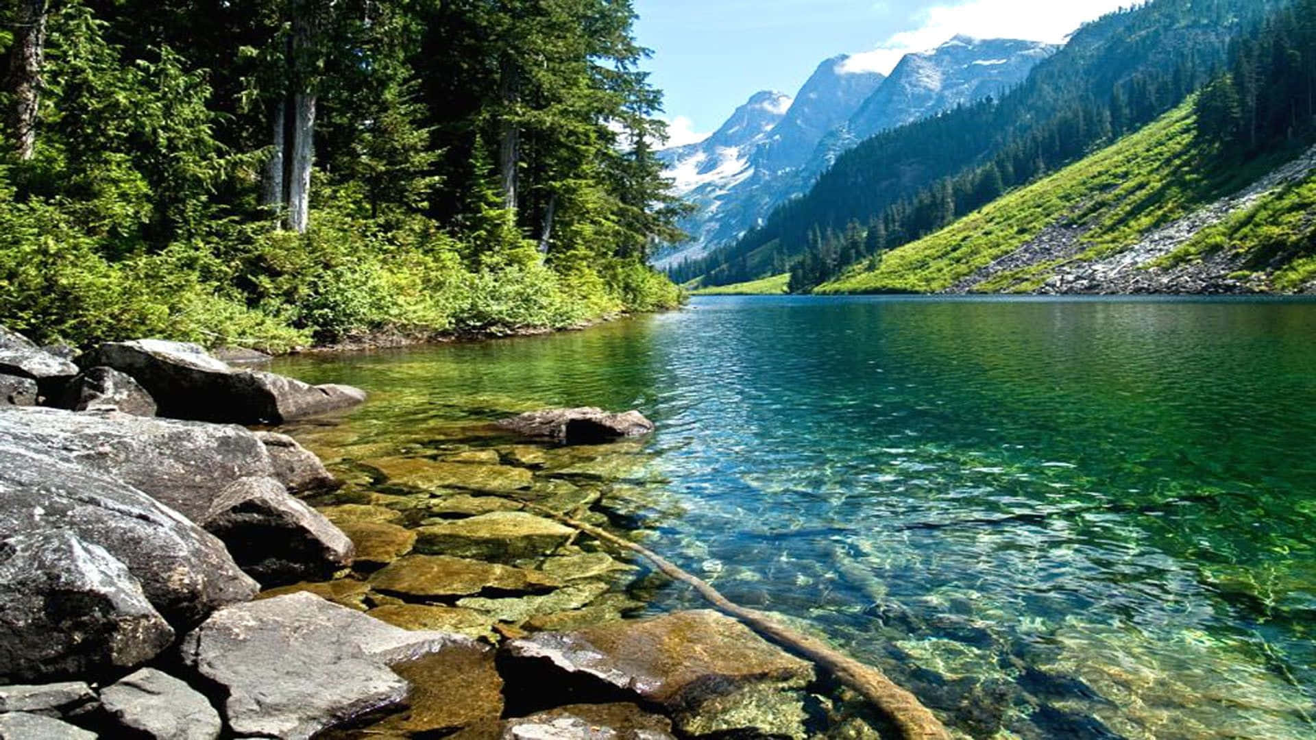 alpine lake, crystal clear turquoise water, dense evergreen forests, Full HD Desktop Wallpaper