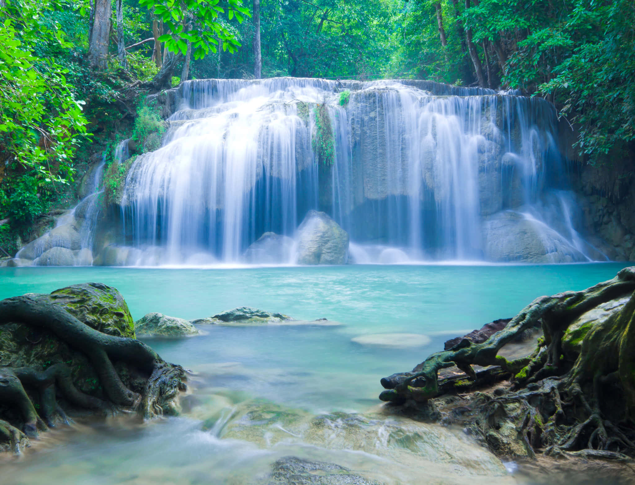 Spring Water, turquoise pool, lush green jungle foliage, Full HD Desktop Wallpaper