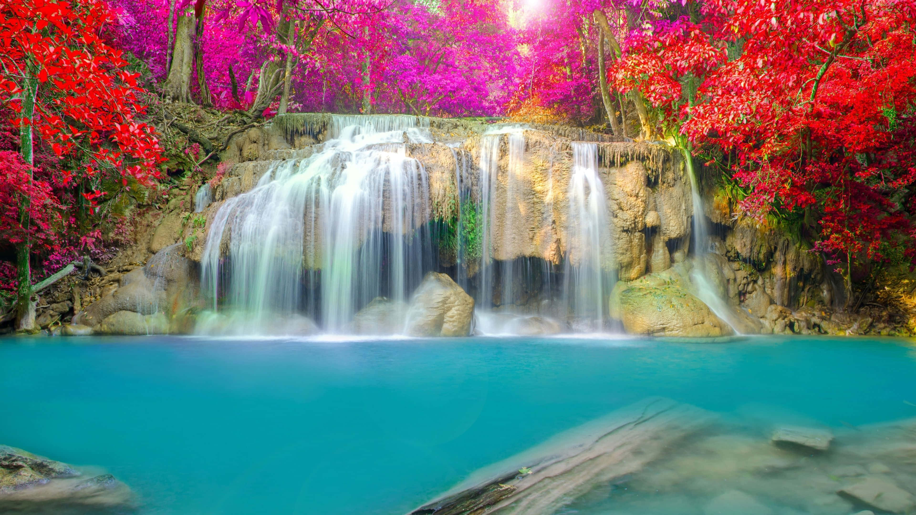 Spring Water, turquoise pool, pink and red autumn leaves, 4K Desktop Wallpaper