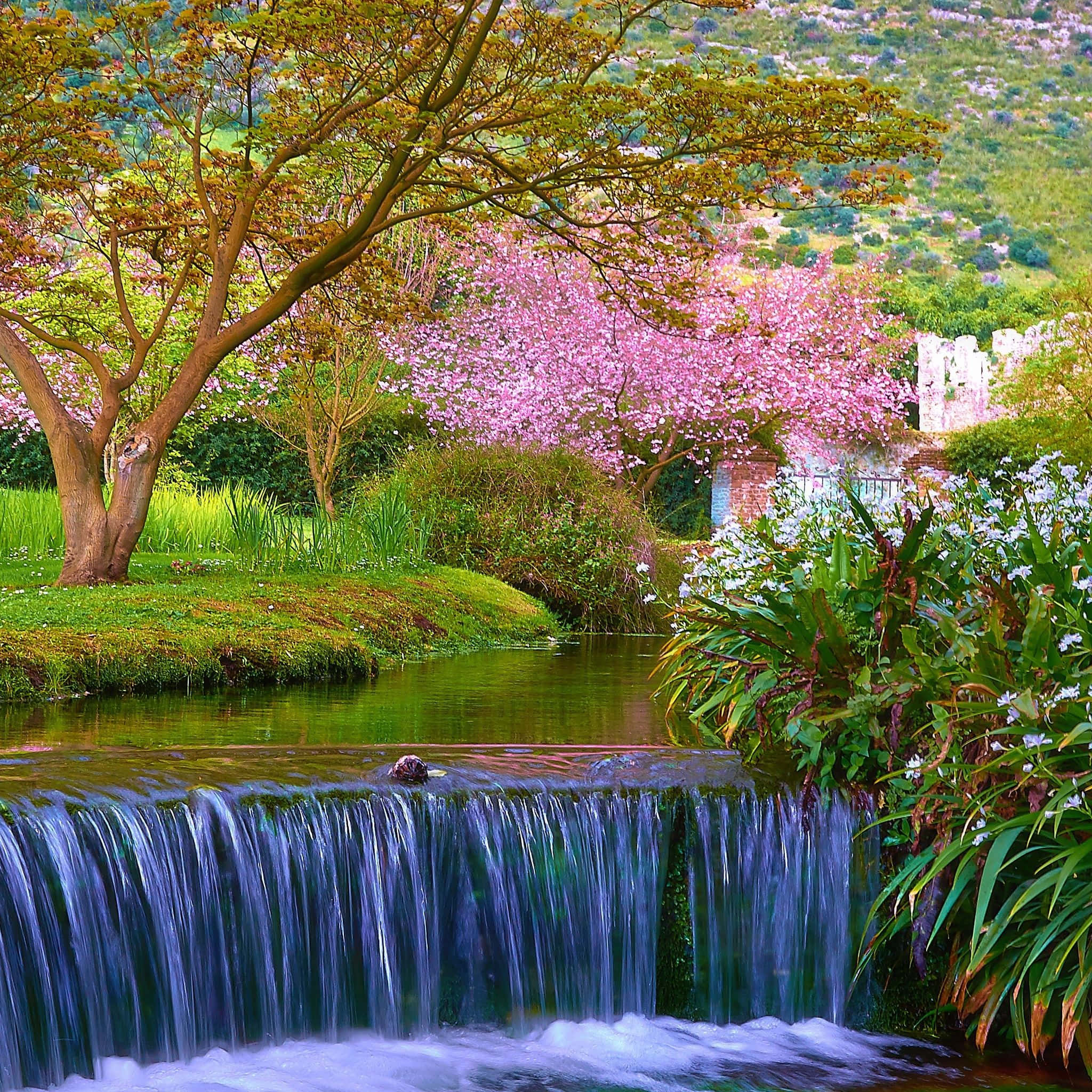 spring water, waterfall, lush garden, Full HD Desktop Wallpaper