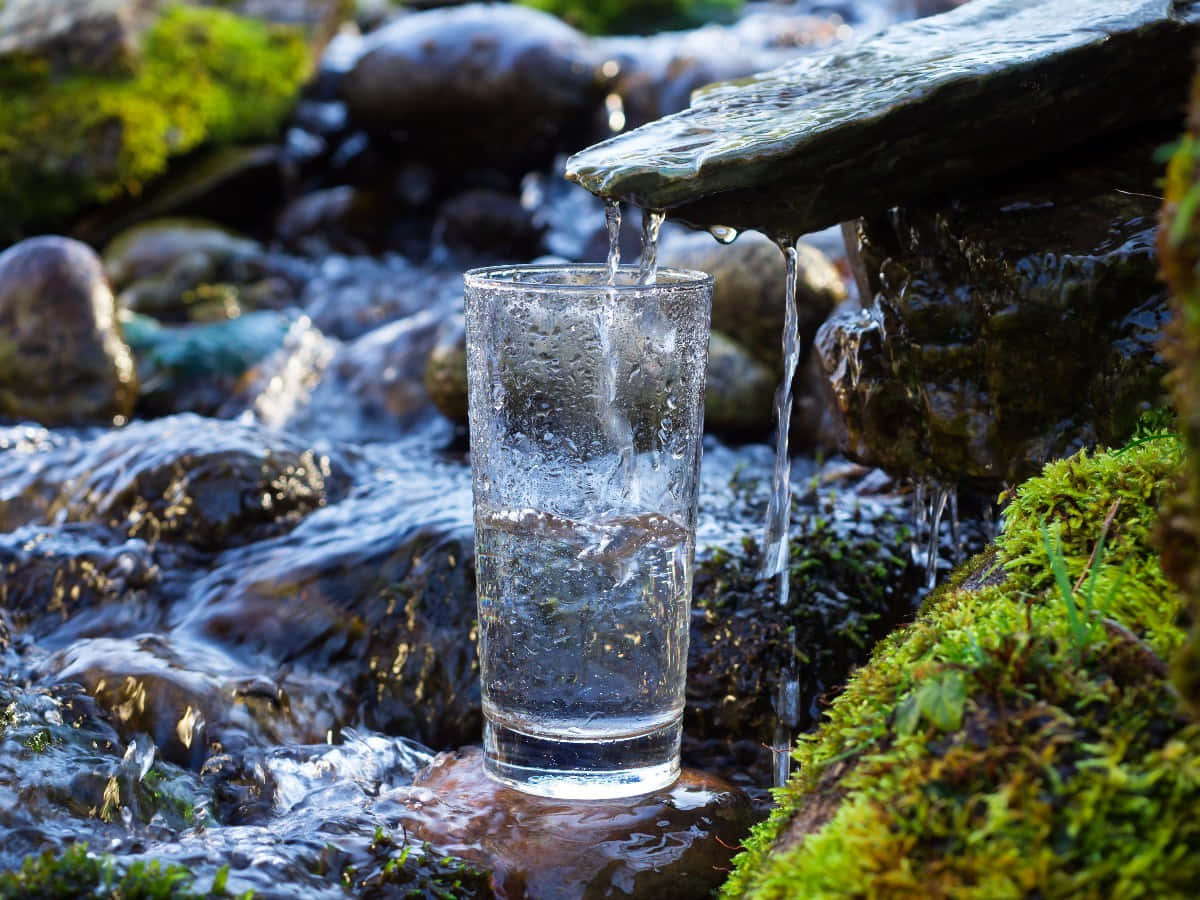 spring water, mossy rocks, sunlit mountain stream, SD Desktop Wallpaper