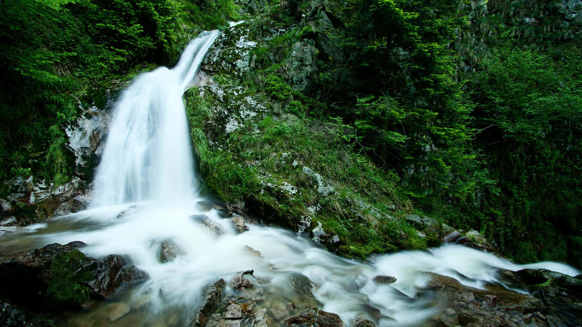 Spring Water, waterfall, mossy rocks, Full HD Desktop Wallpaper