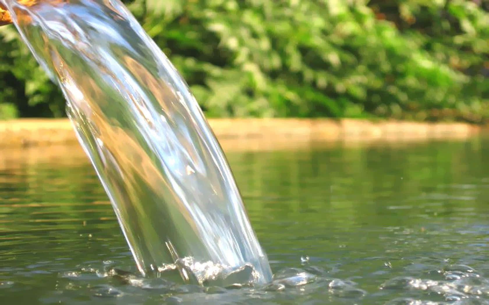Spring Water, natural spring water, forest, HD Desktop Wallpaper