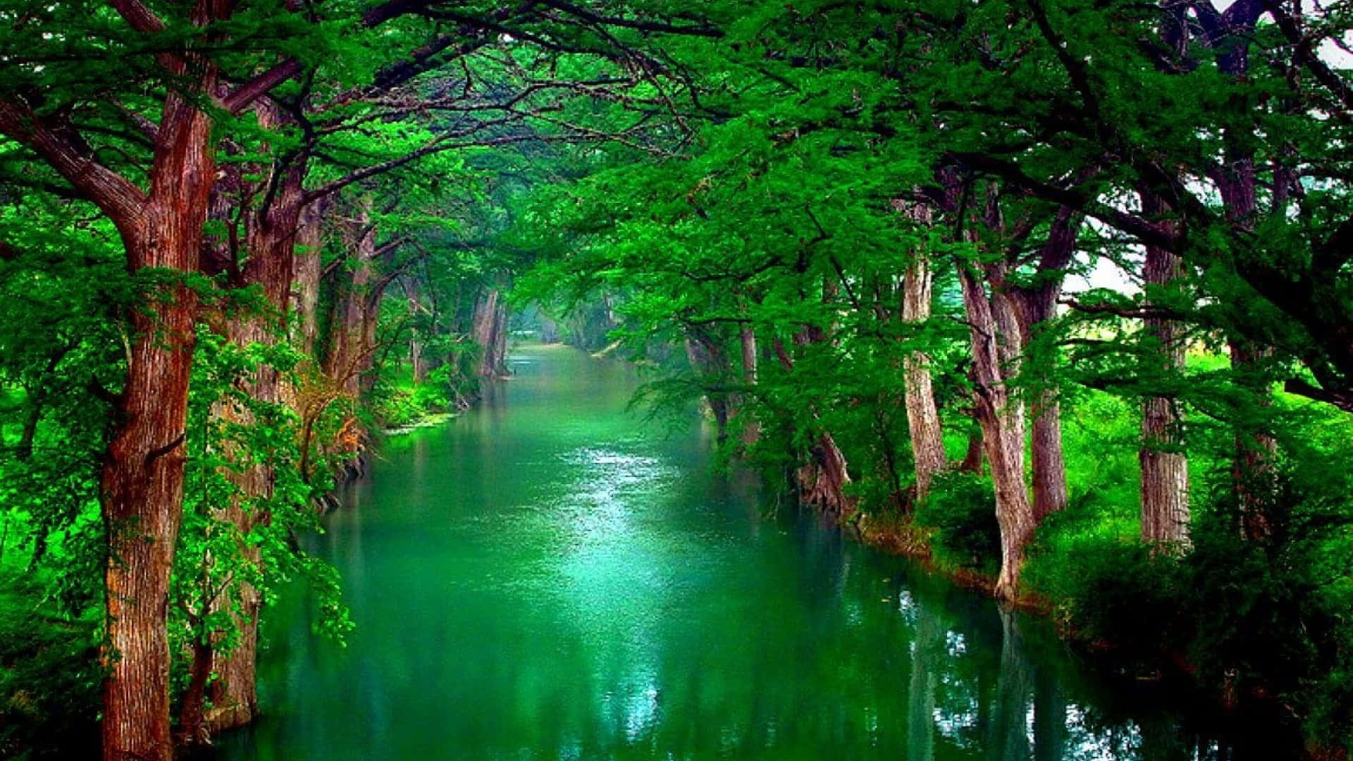 Spring River, emerald river, lush green forest, Full HD Desktop Wallpaper