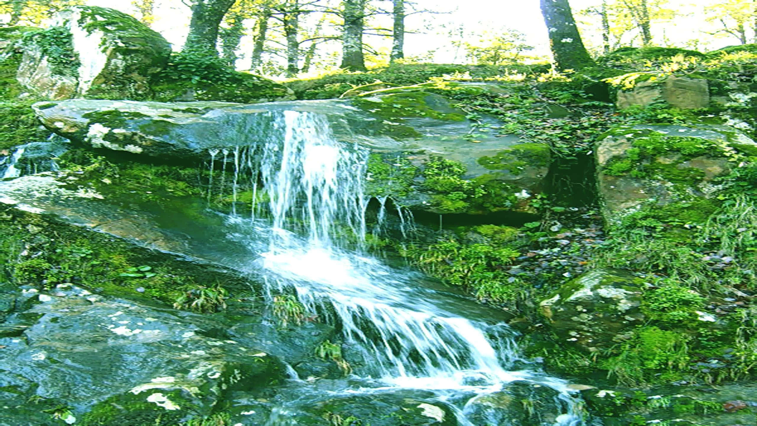 Spring Water, forest waterfall, mossy rocks, 2K Desktop Wallpaper