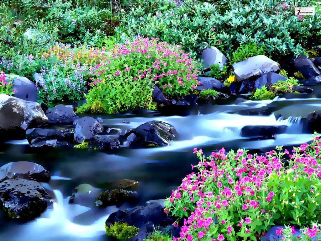 Spring Water, mountain stream, dark rocks, SD Desktop Wallpaper